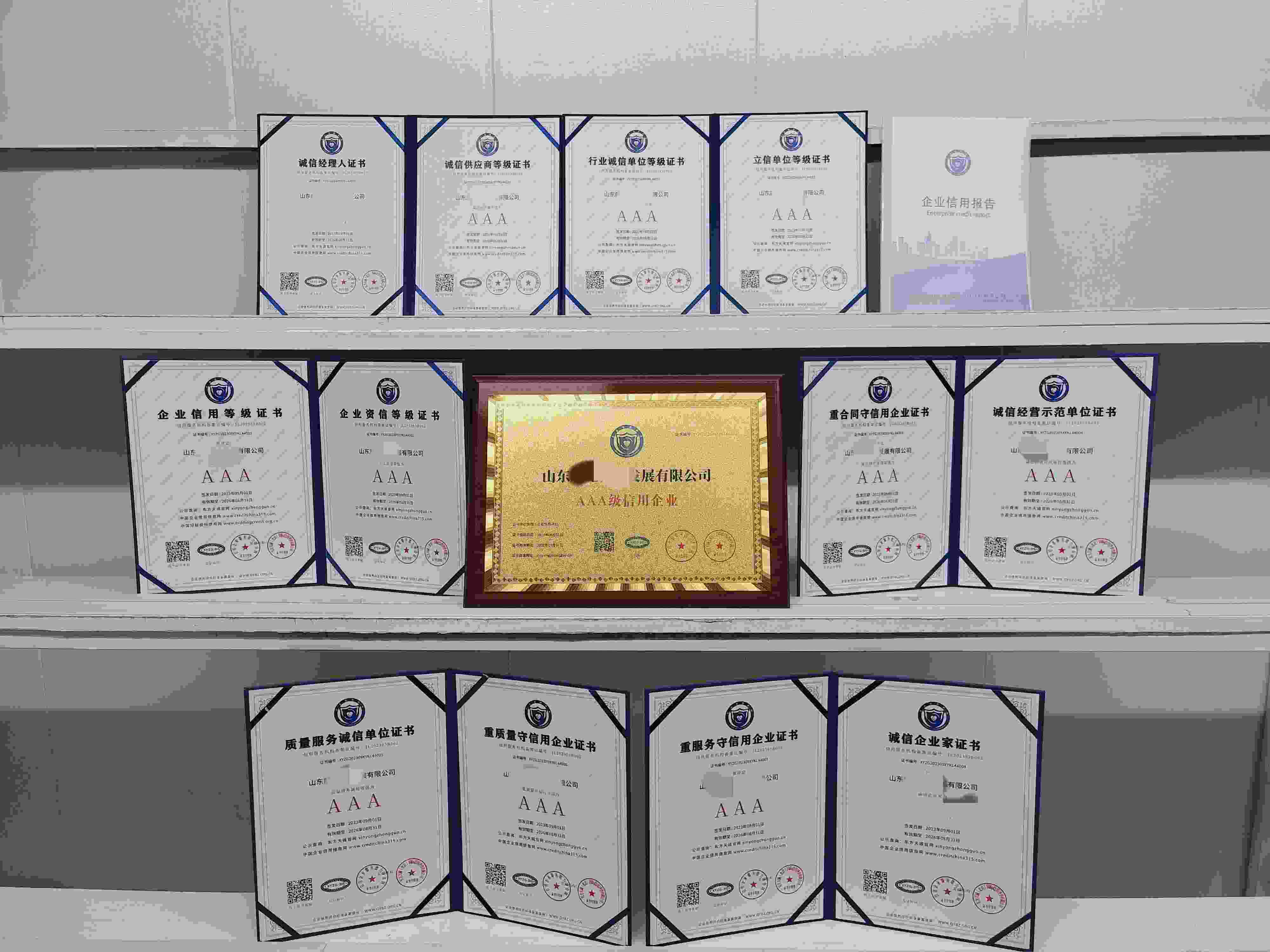 恭喜山东麒龙科技发展有限公司顺利通过AAA信用认证,山东麒龙科技发展有限公司办理AAA信用等级证书