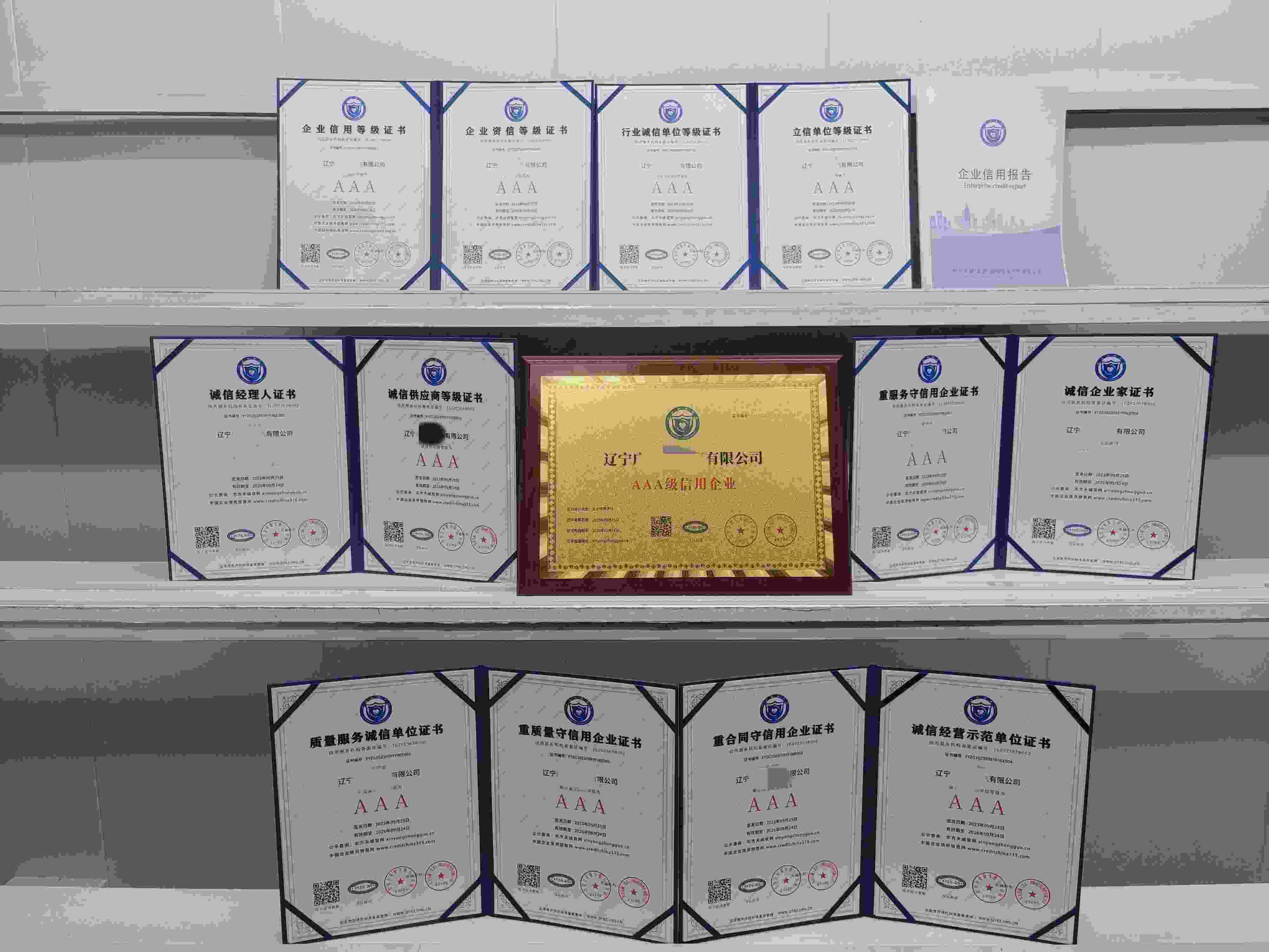 恭喜辽宁广兴运电气有限公司顺利通过AAA信用认证,辽宁广兴运电气有限公司办理AAA信用等级证书