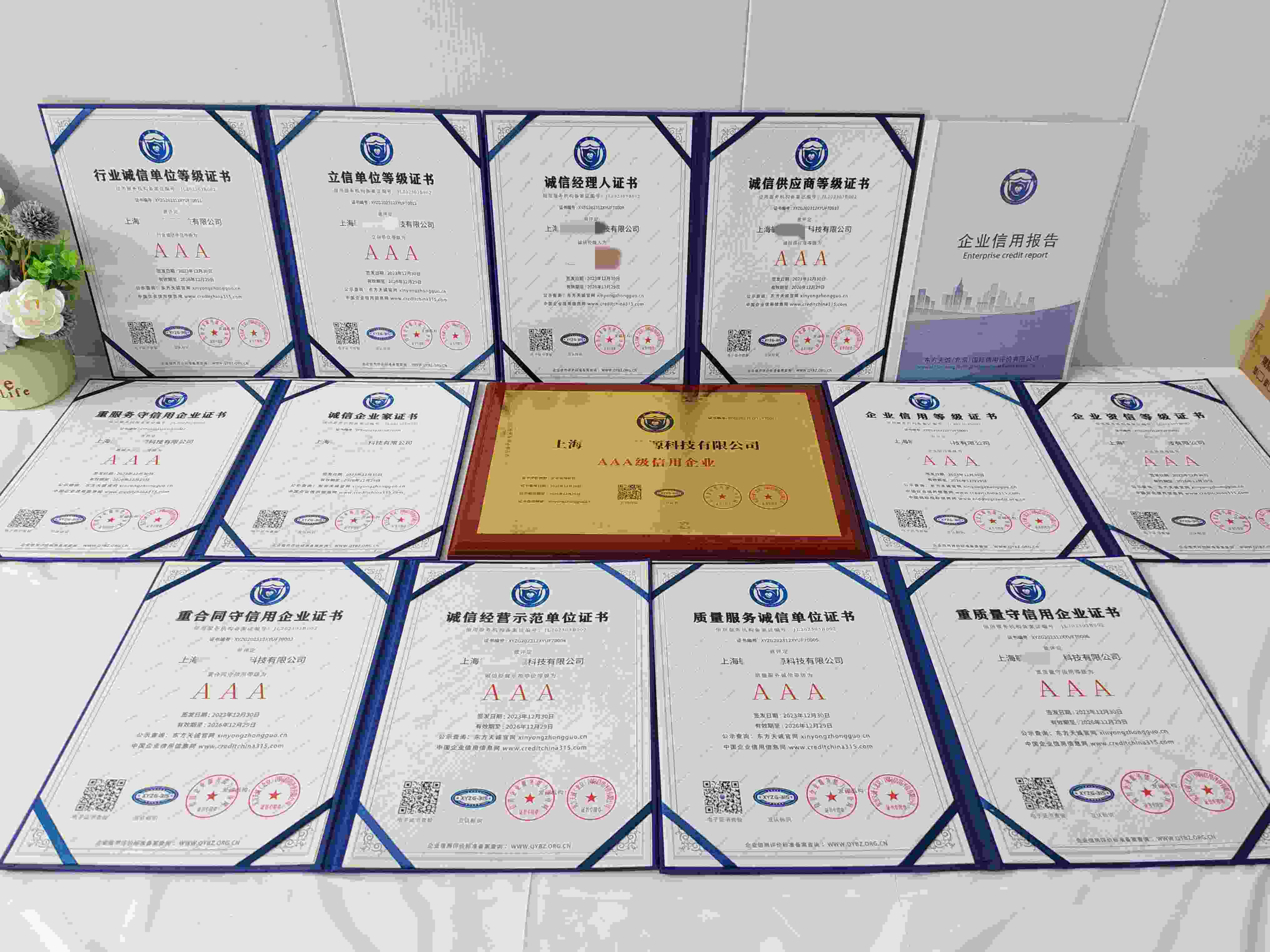 恭喜上海毓坤新能源科技有限公司顺利通过AAA信用认证,上海毓坤新能源科技有限公司办理AAA信用等级证书