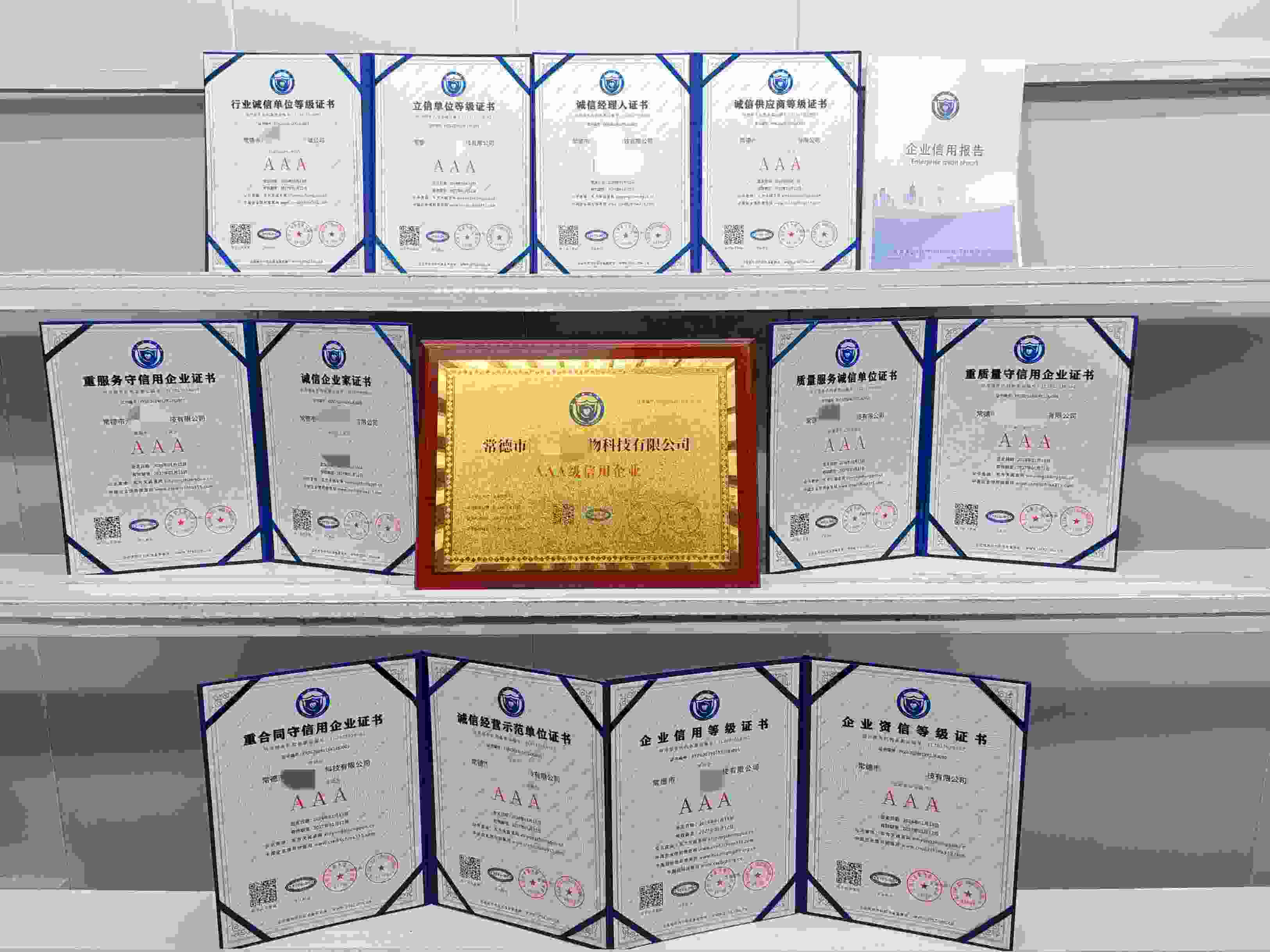 恭喜常德市科技公司顺利通过AAA信用认证,常德市科技公司办理AAA信用等级证书