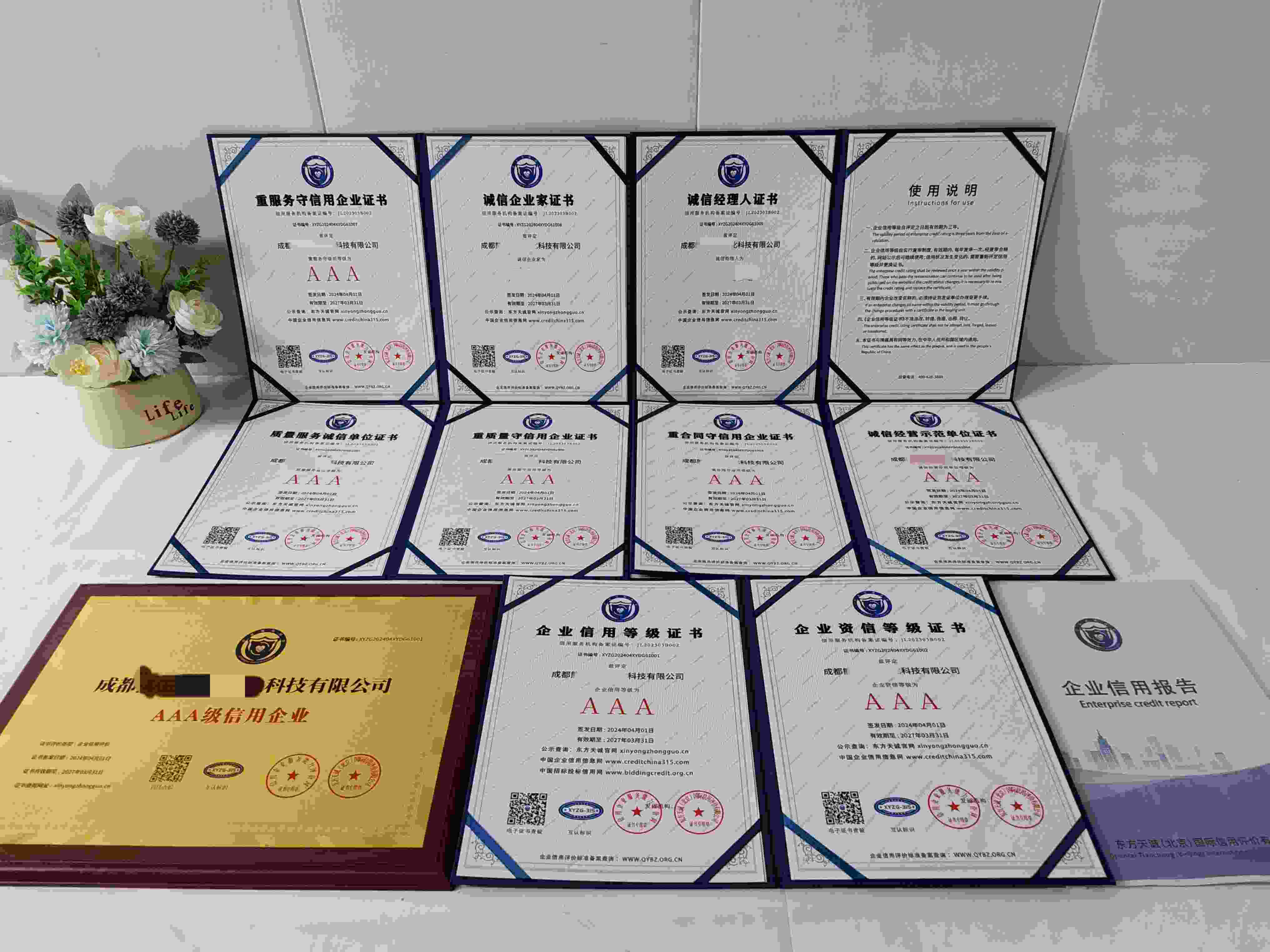 恭喜成都熊猫视界文化科技有限公司顺利通过AAA信用认证, 成都熊猫视界文化科技有限公司 办理AAA信用等级证书