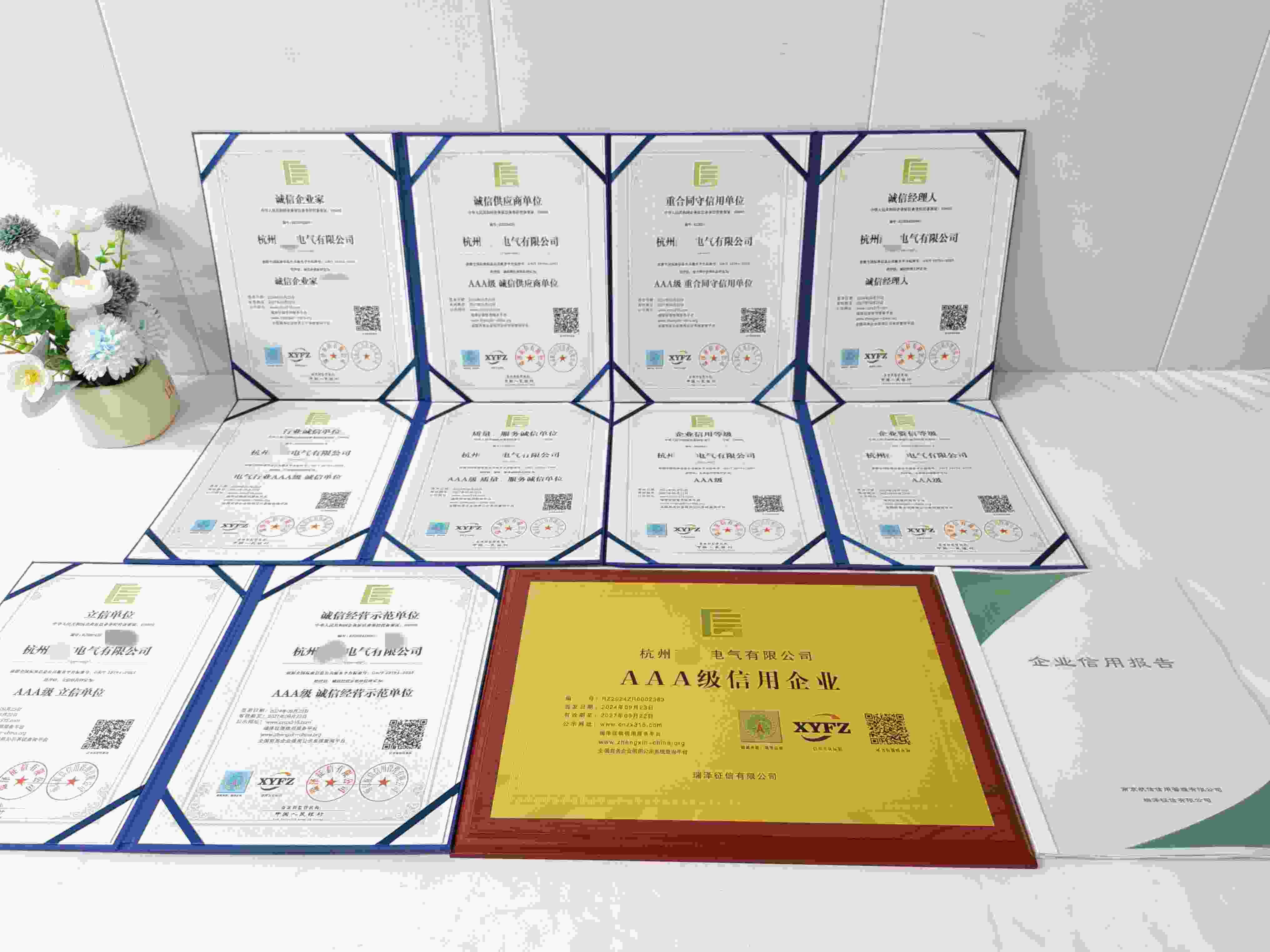 恭喜杭州耐立电气有限公司顺利通过AAA信用认证,杭州耐立电气有限公司办理AAA信用等级证书