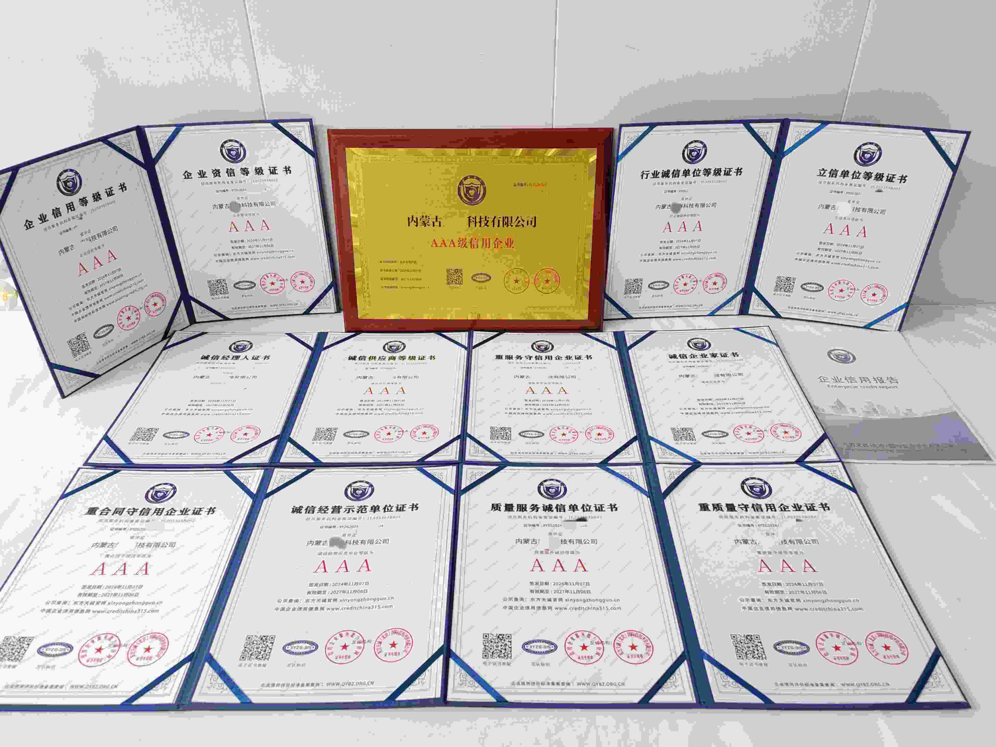 恭喜内蒙古烽泰科技有限公司顺利通过AAA信用认证,内蒙古烽泰科技有限公司办理AAA信用等级证书