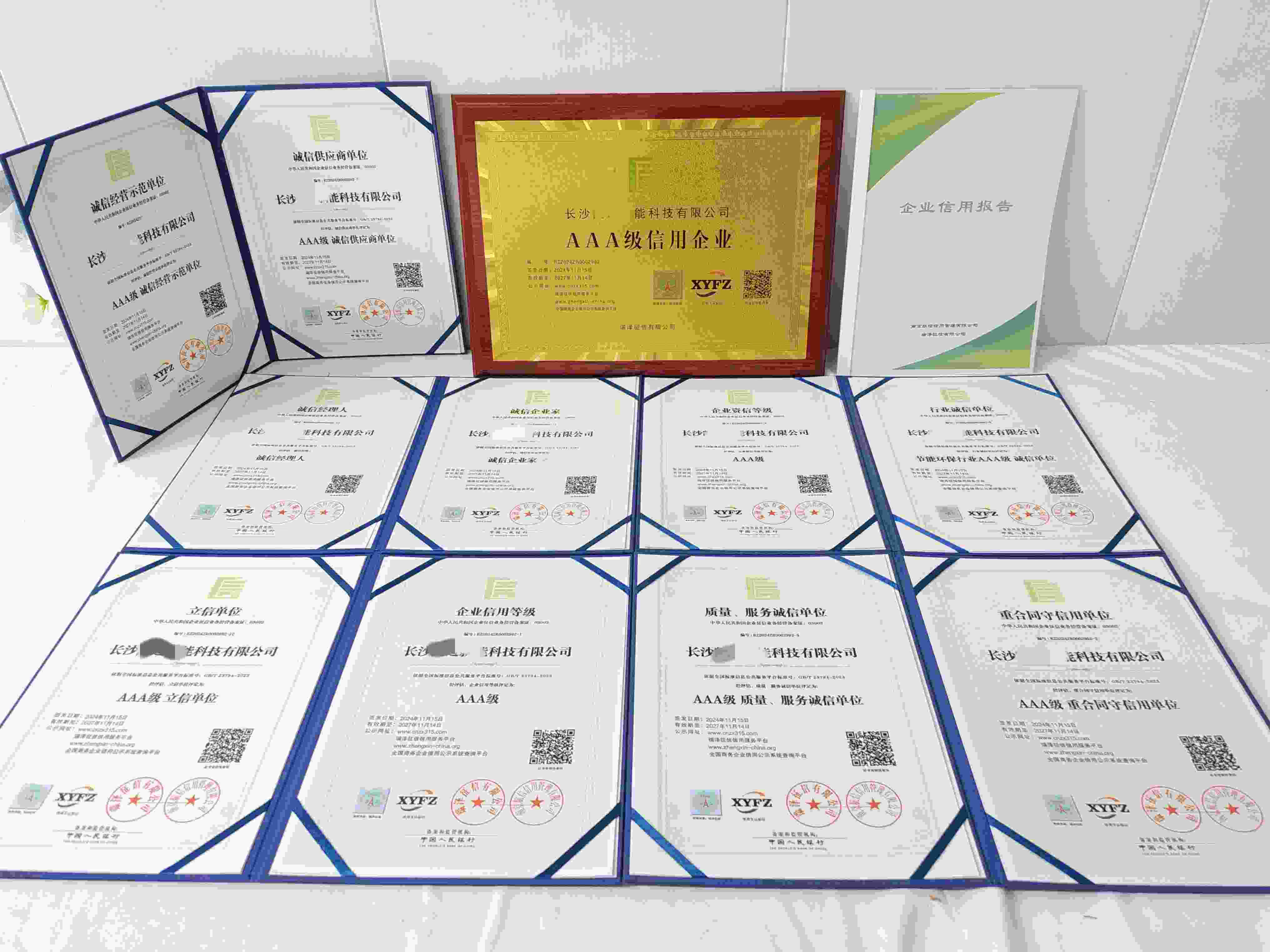 恭喜长沙凯迈新能科技有限公司顺利通过AAA信用认证,长沙凯迈新能科技有限公司办理AAA信用等级证书