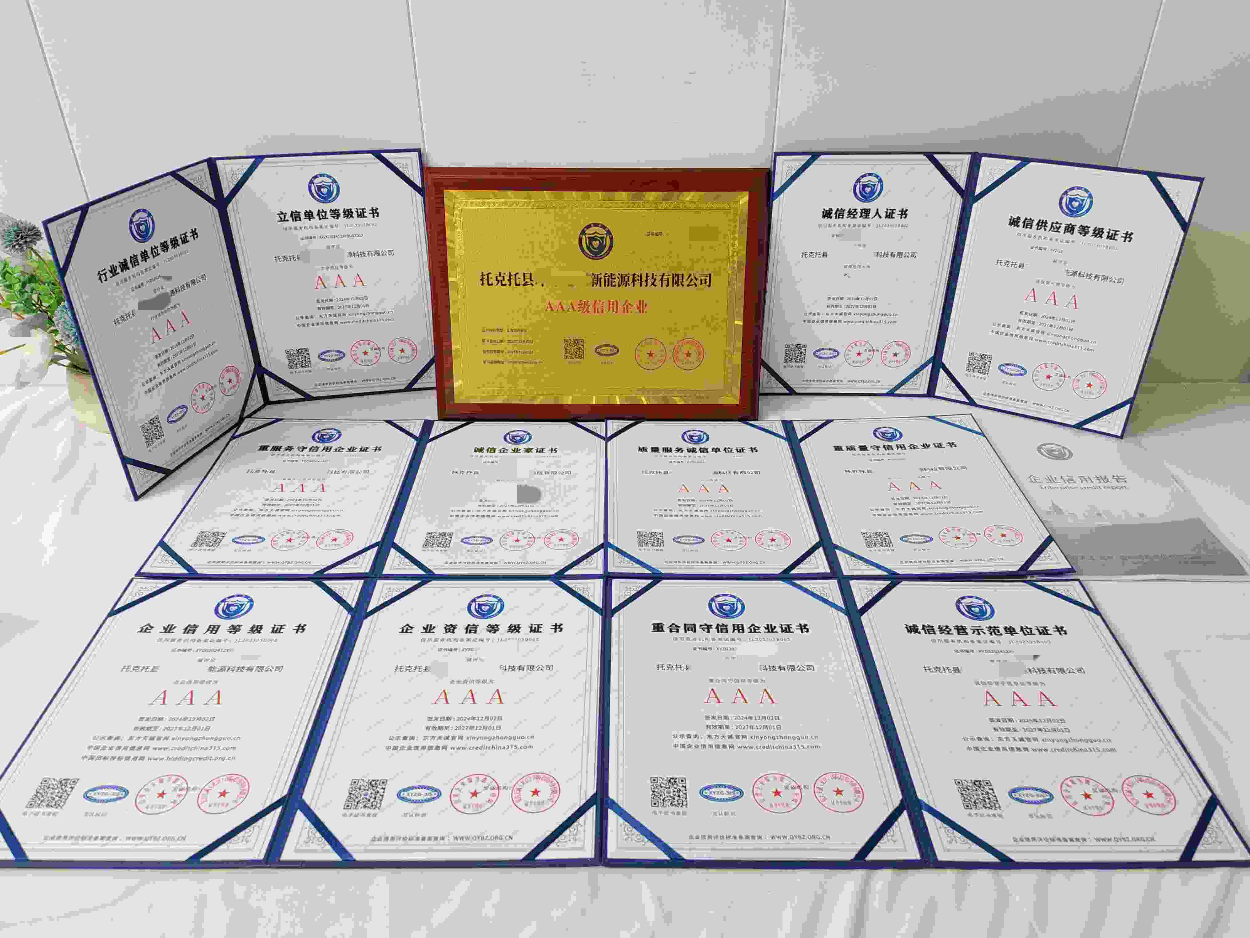 恭喜托克托县咔咔电姆新能源科技有限公司顺利通过AAA信用认证,托克托县咔咔电姆新能源科技有限公司办理AAA信用等级证书