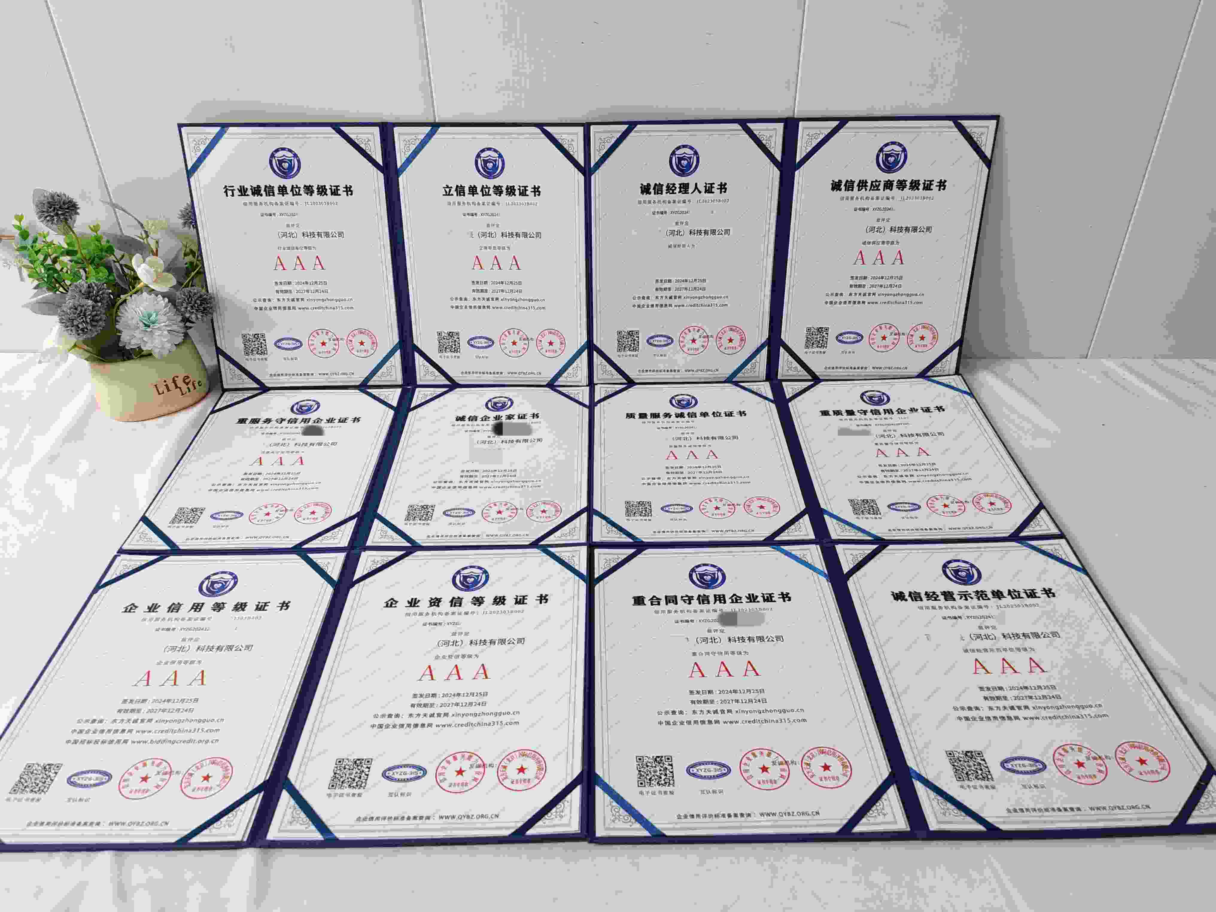 恭喜百纳仟晟(河北)科技有限公司顺利通过AAA信用认证,百纳仟晟(河北)科技有限公司办理AAA信用等级证书