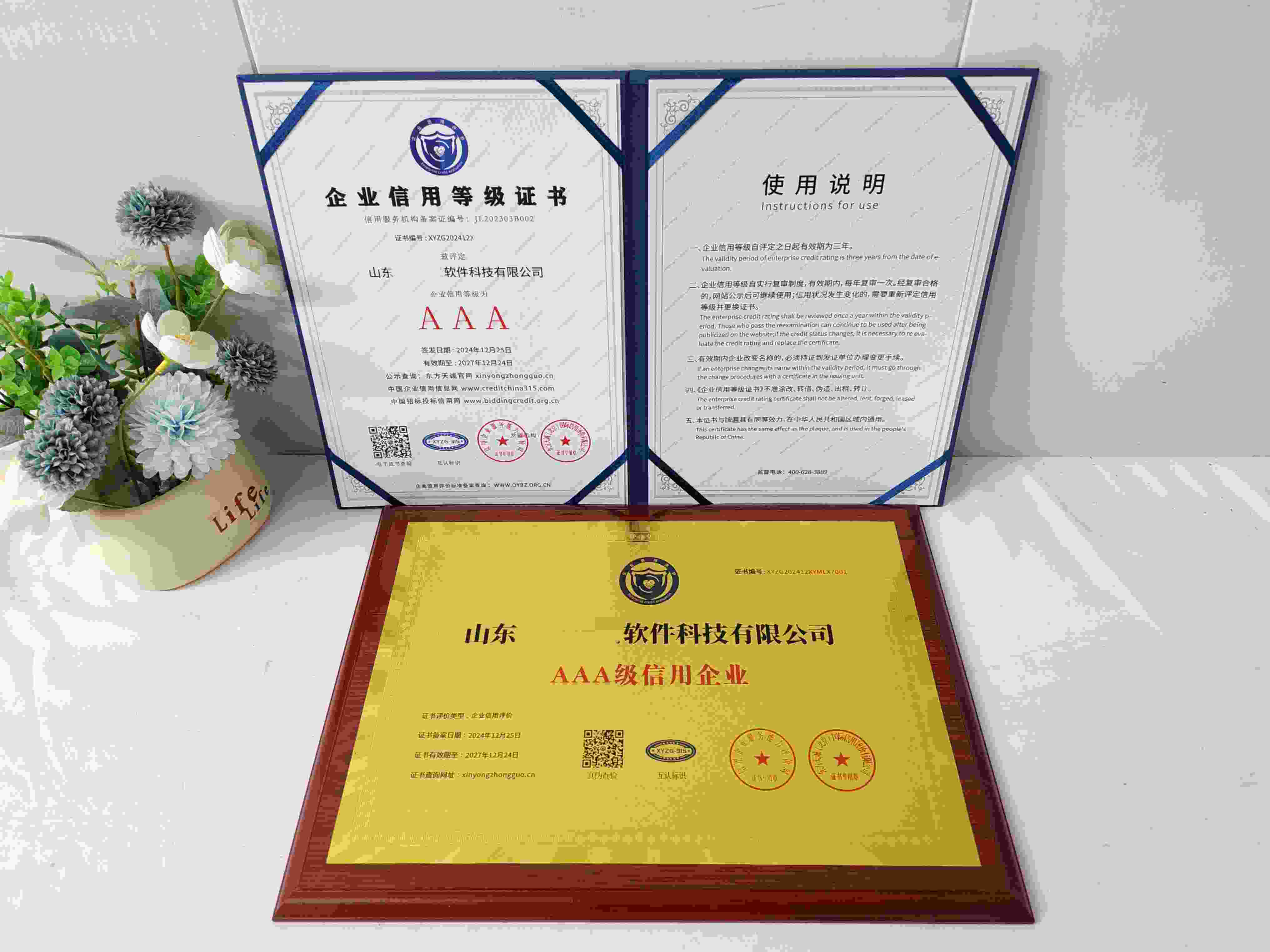 恭喜山东弘意视景软件科技有限公司顺利通过AAA信用认证,山东弘意视景软件科技有限公司办理AAA信用等级证书