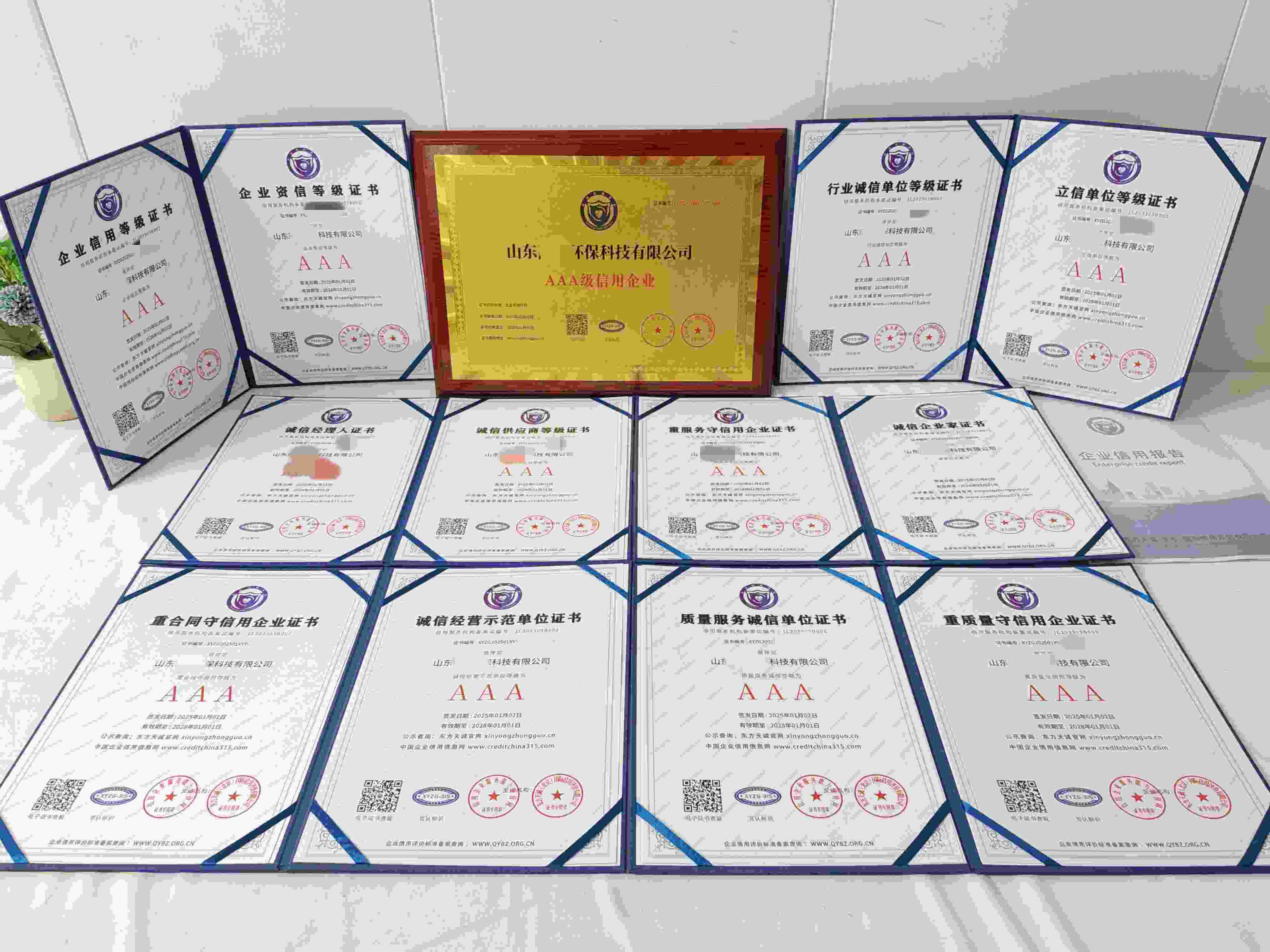 恭喜山东阳驰环保科技有限公司顺利通过AAA信用认证, 山东阳驰环保科技有限公司办理AAA信用等级证书