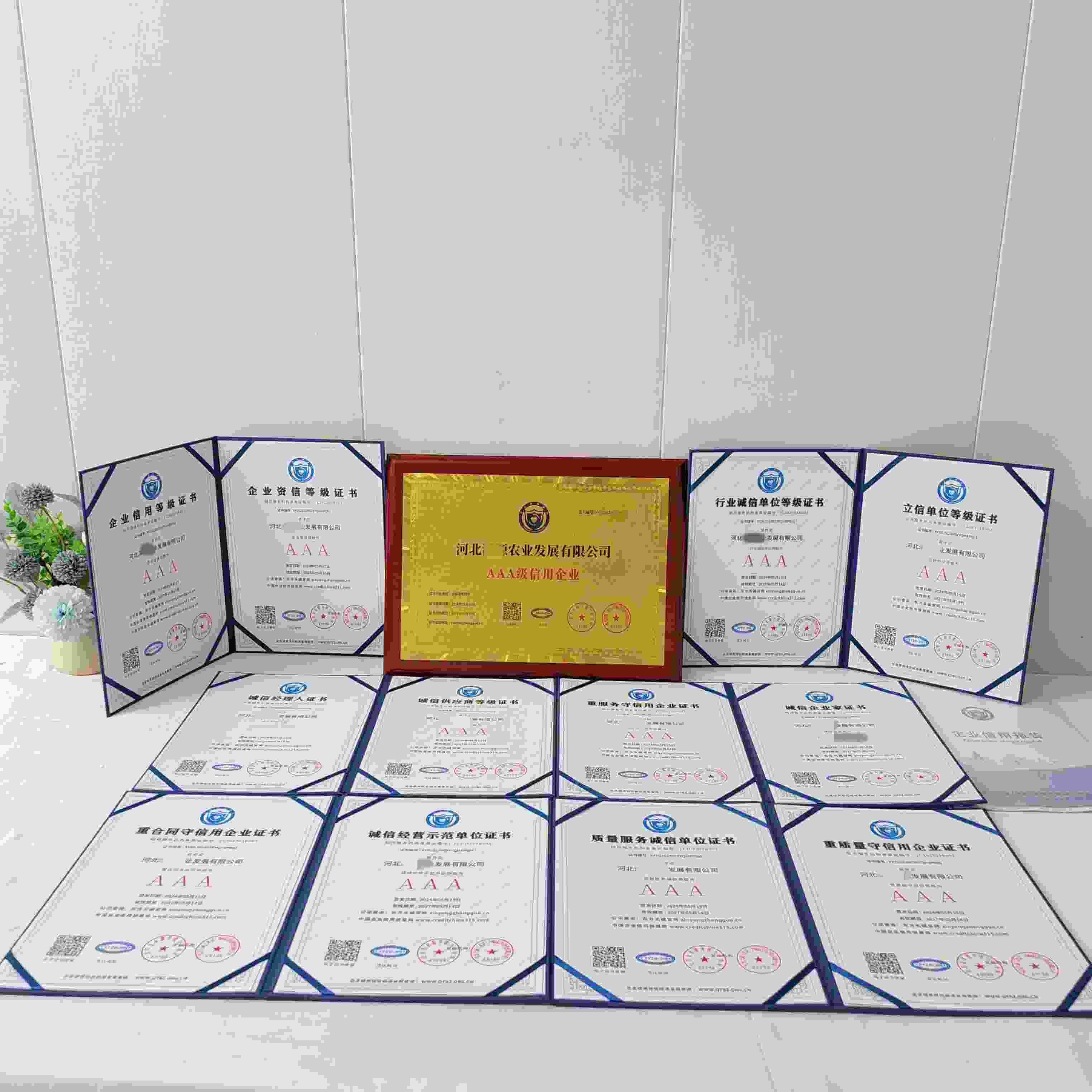 恭喜河北濡源农业发展有限公司顺利通过AAA信用认证, 河北濡源农业发展有限公司办理AAA信用等级证书
