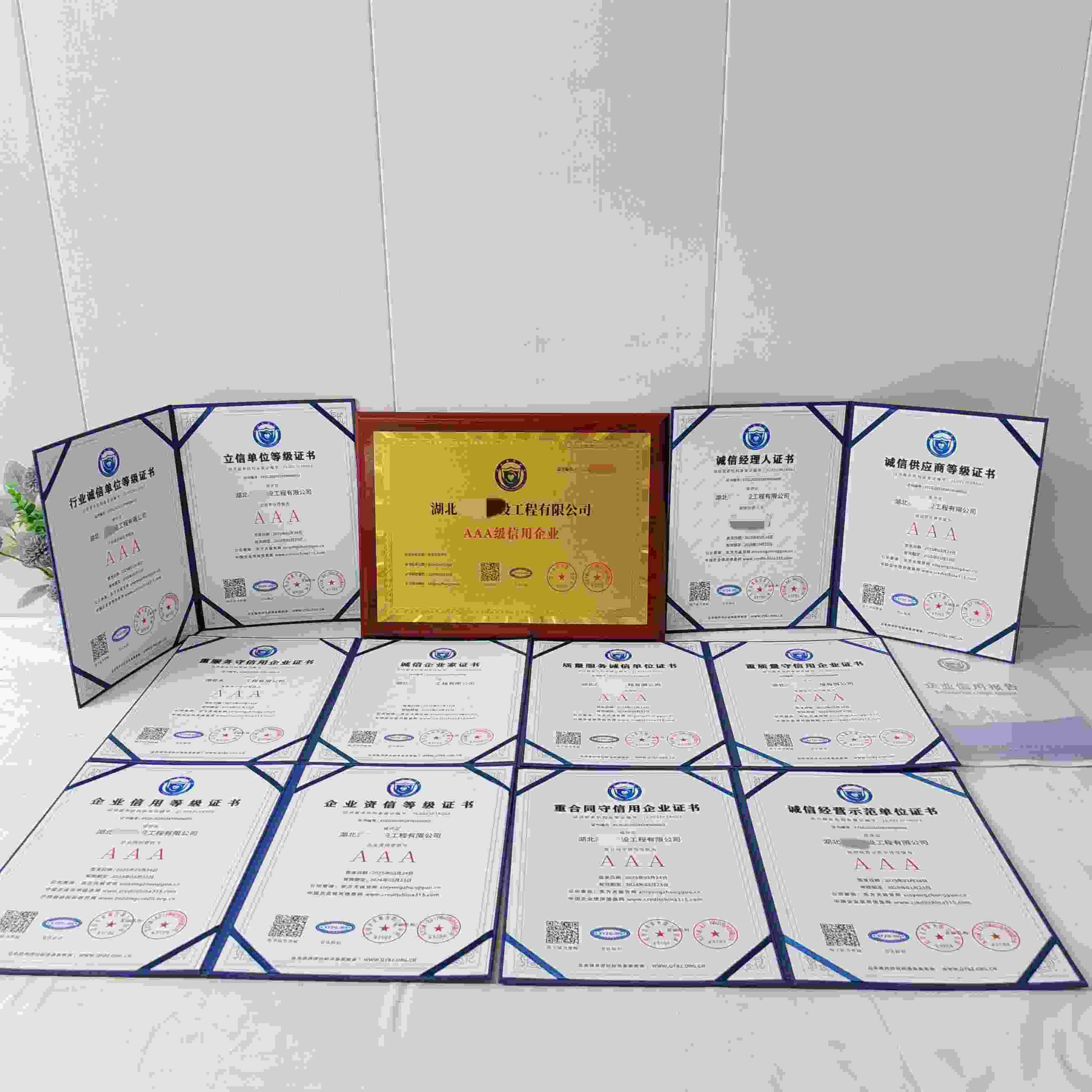 恭喜湖北奥肃建设工程有限公司顺利通过AAA信用认证, 湖北奥肃建设工程有限公司办理AAA信用等级证书