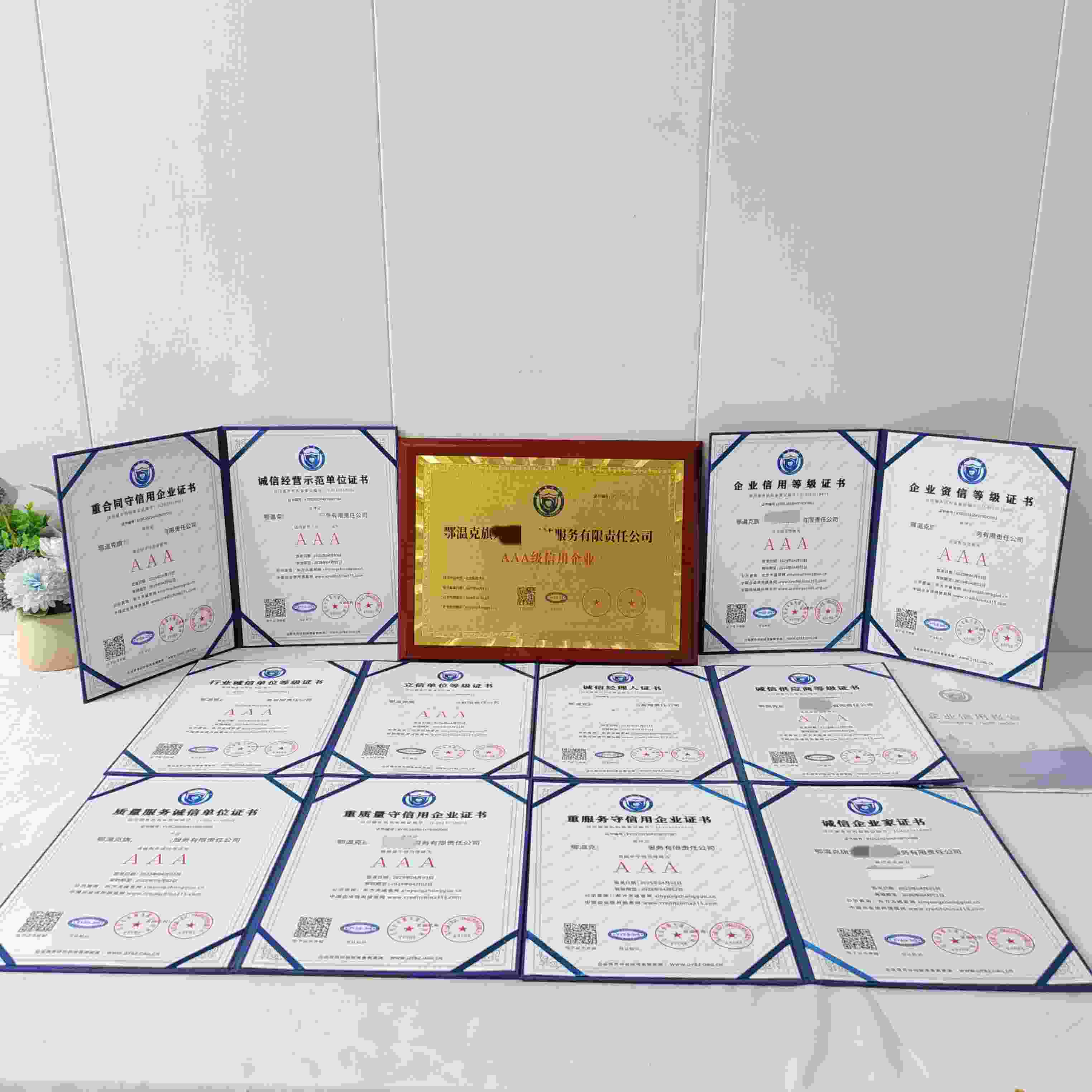 恭喜鄂温克旗龙圣达保洁服务有限责任公司顺利通过AAA信用认证, 鄂温克旗龙圣达保洁服务有限责任公司办理AAA信用等级证书