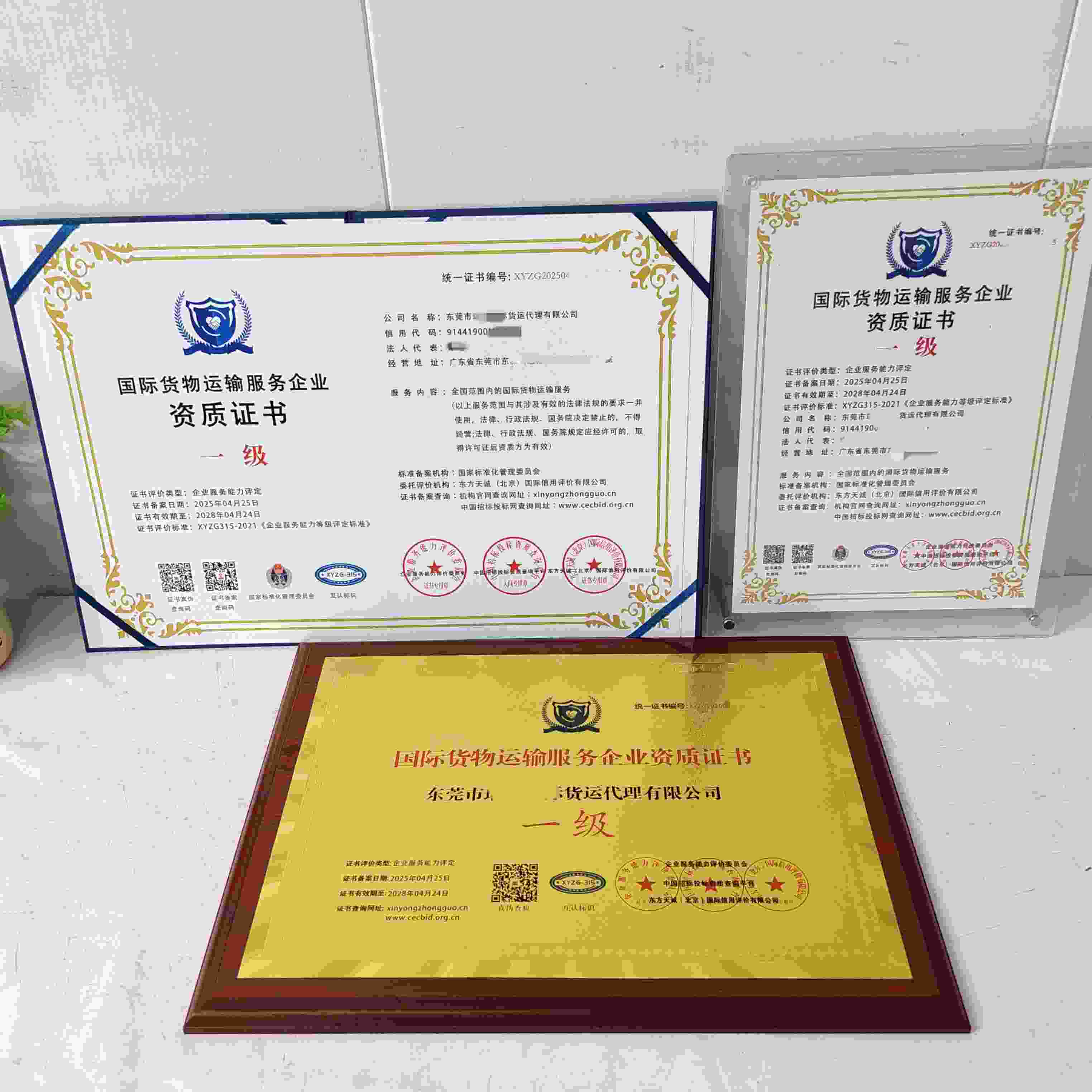 恭喜东莞市瑞宸国际货运代理有限公司顺利通过国际货物运输服务企业资质认证,东莞市瑞宸国际货运代理有限公司办理国际货物运输服务企业资质证书