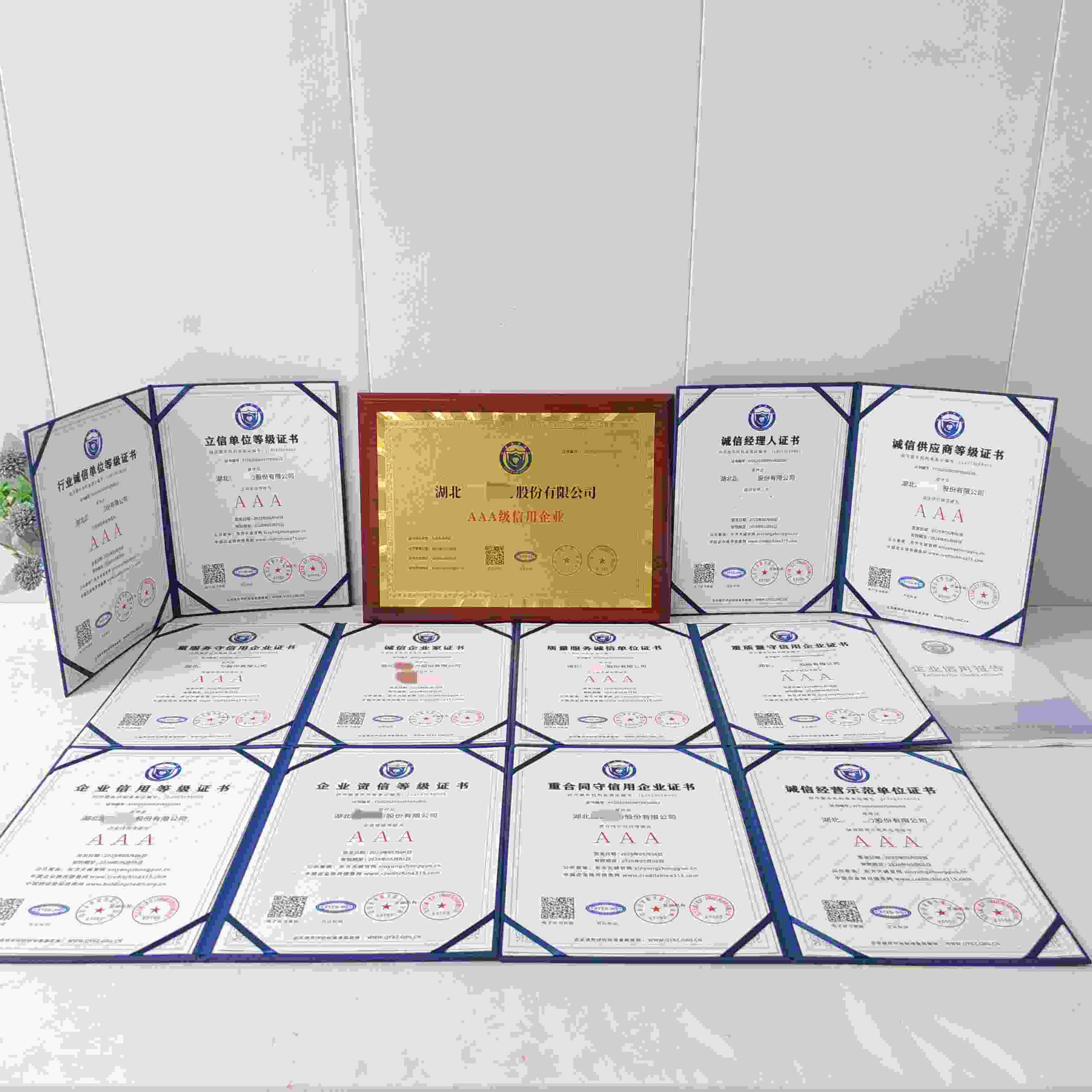 恭喜湖北国弘电力股份有限公司顺利通过AAA信用认证, 湖北国弘电力股份有限公司办理AAA信用等级证书