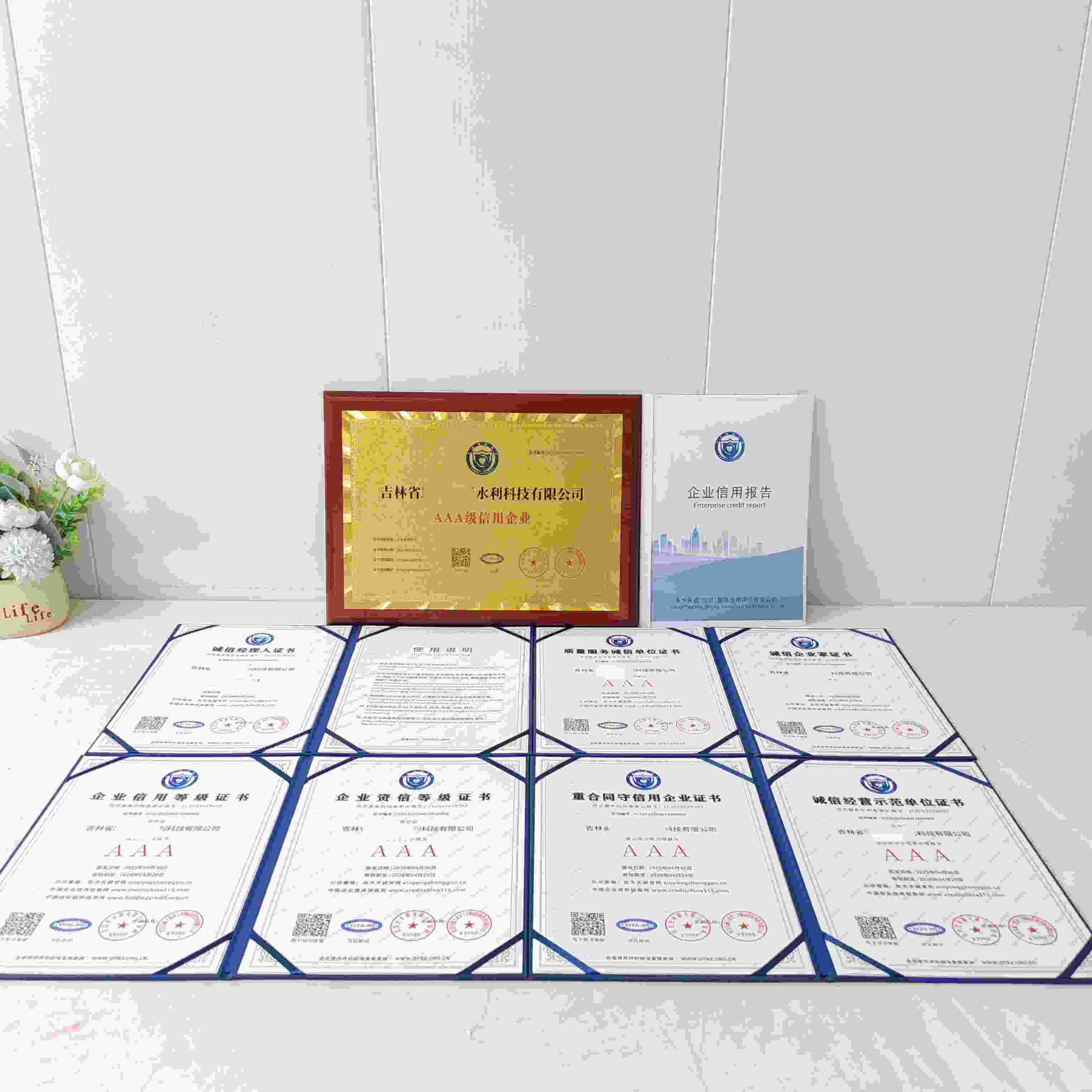 恭喜吉林省瑞新博远水利科技有限公司顺利通过AAA信用认证, 吉林省瑞新博远水利科技有限公司办理AAA信用等级证书