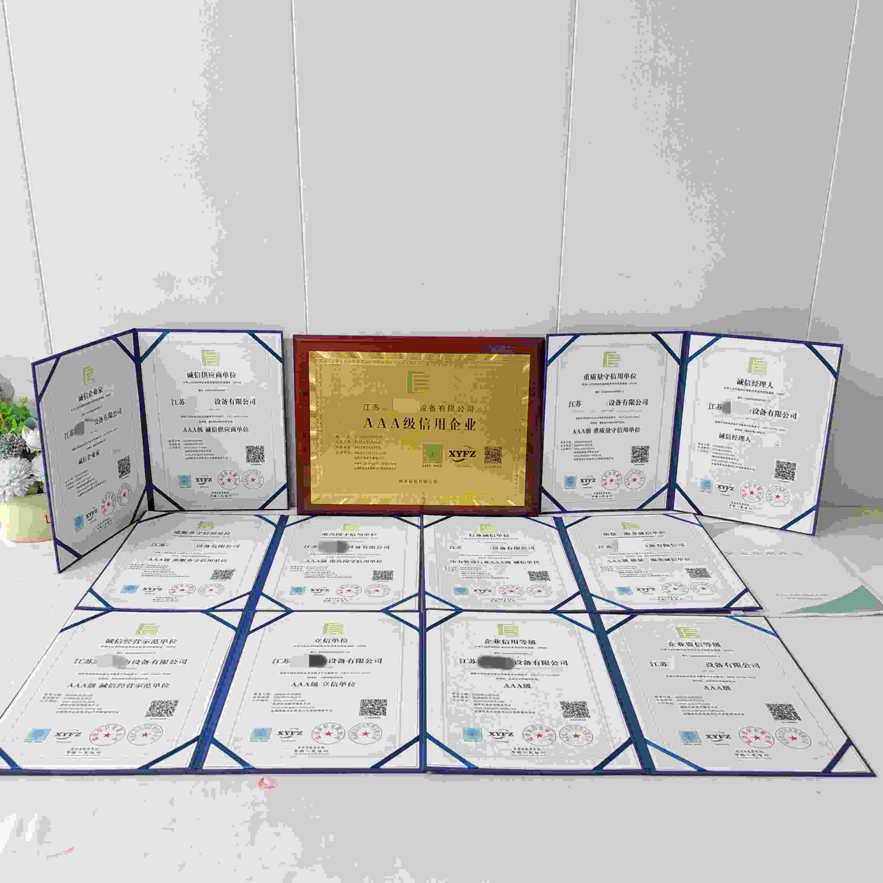 恭喜江苏腾盛电力设备有限公司顺利通过AAA信用认证, 江苏腾盛电力设备有限公司办理AAA信用等级证书