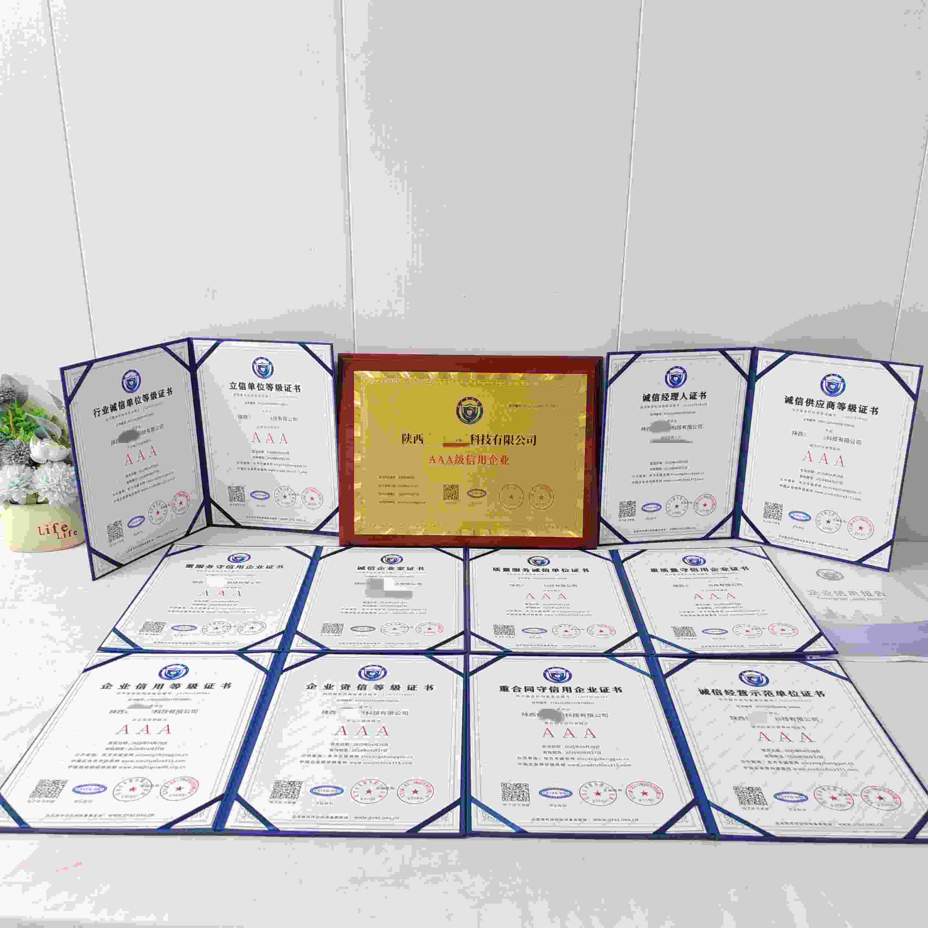 恭喜陕西容鼎芯微科技有限公司顺利通过AAA信用认证, 陕西容鼎芯微科技有限公司办理AAA信用等级证书