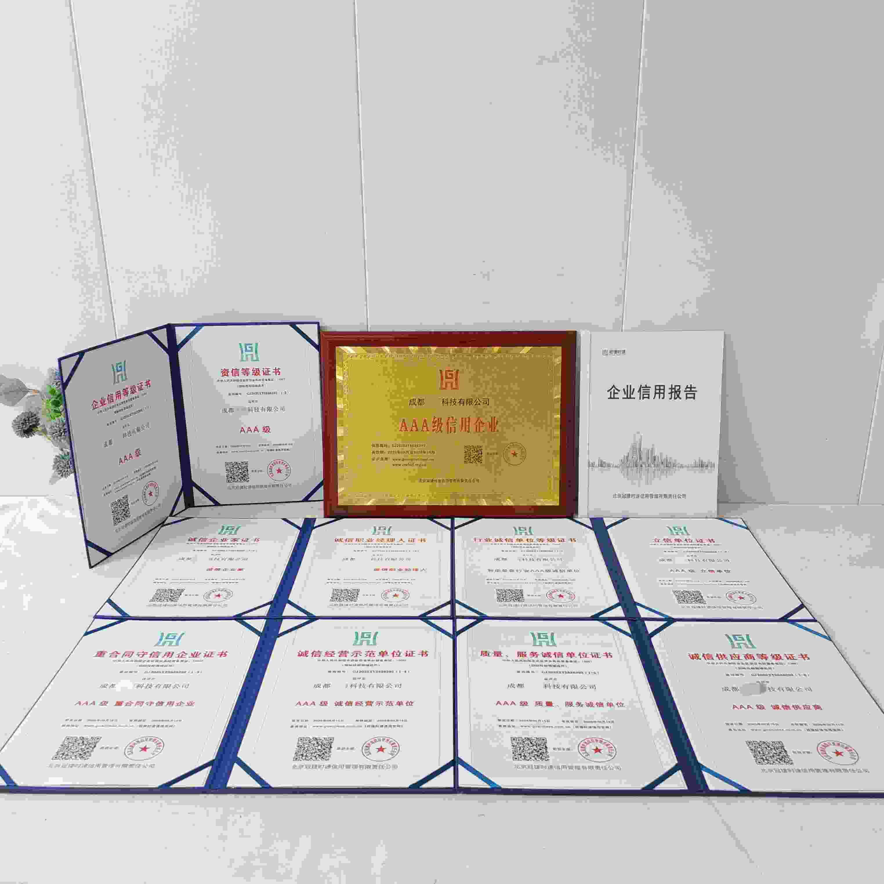 恭喜成都洋湃科技有限公司顺利通过AAA信用认证, 成都洋湃科技有限公司办理AAA信用等级证书
