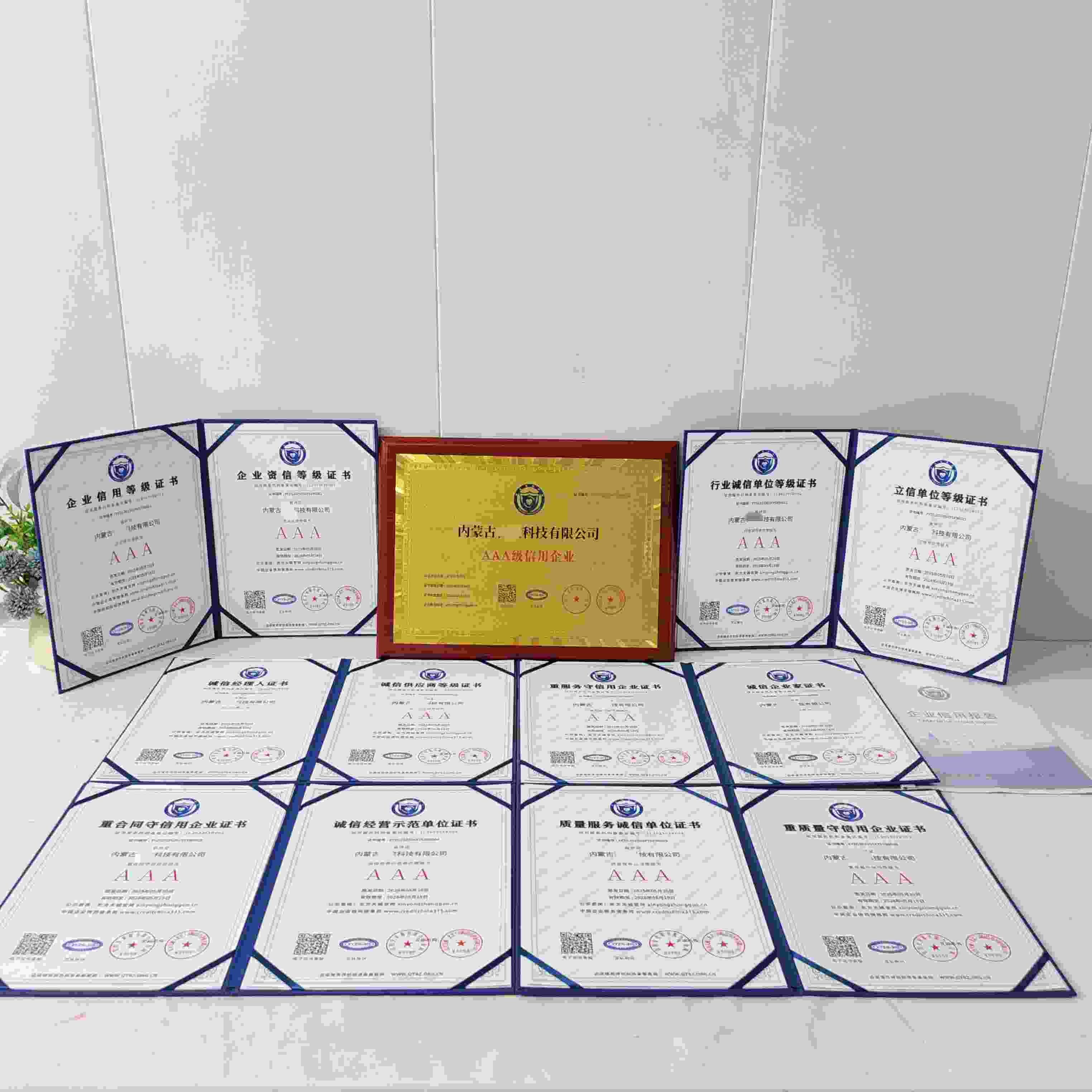 恭喜内蒙古雷度科技有限公司顺利通过AAA信用认证, 内蒙古雷度科技有限公司办理AAA信用等级证书
