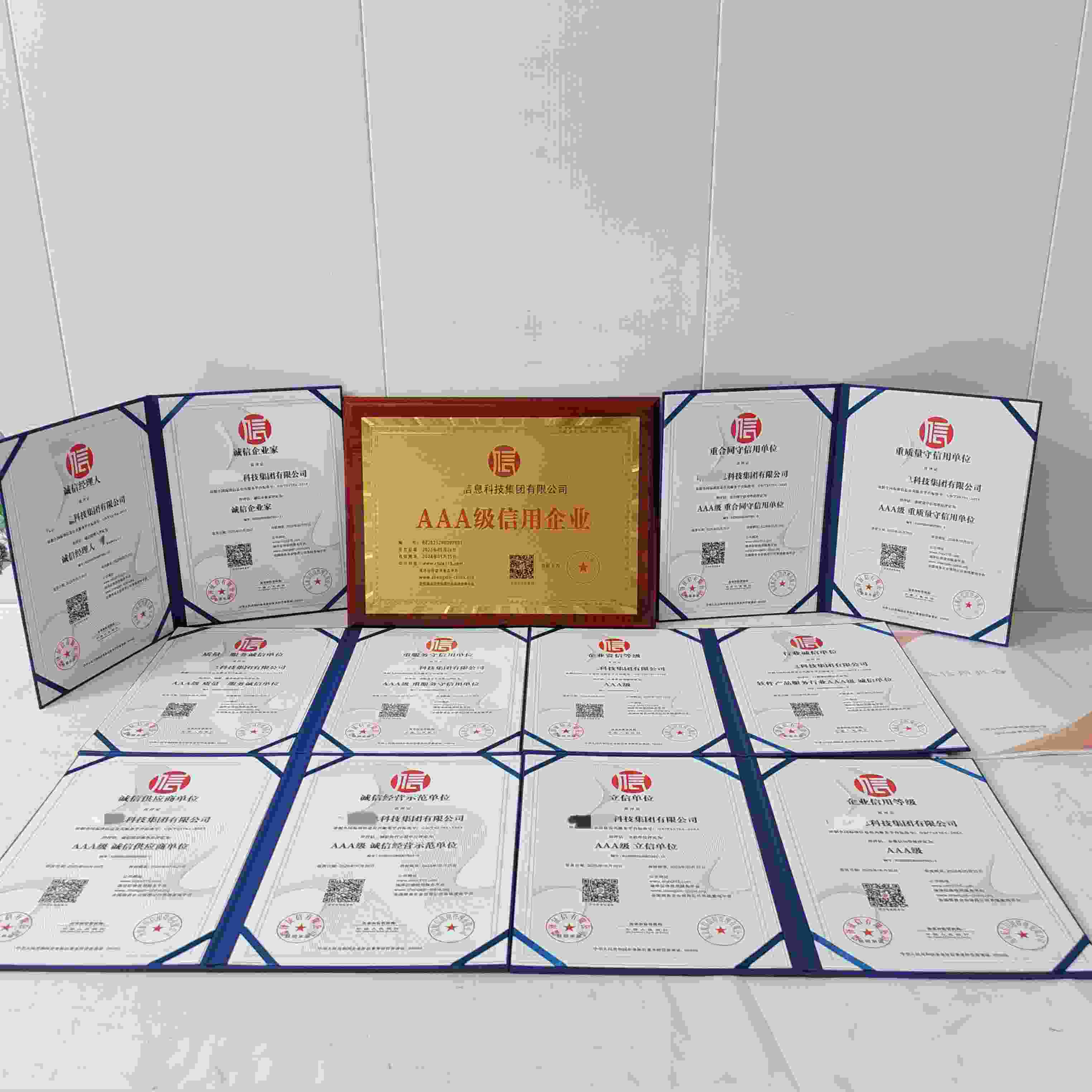 恭喜哨兵信息科技集团有限公司顺利通过AAA信用认证, 哨兵信息科技集团有限公司办理AAA信用等级证书