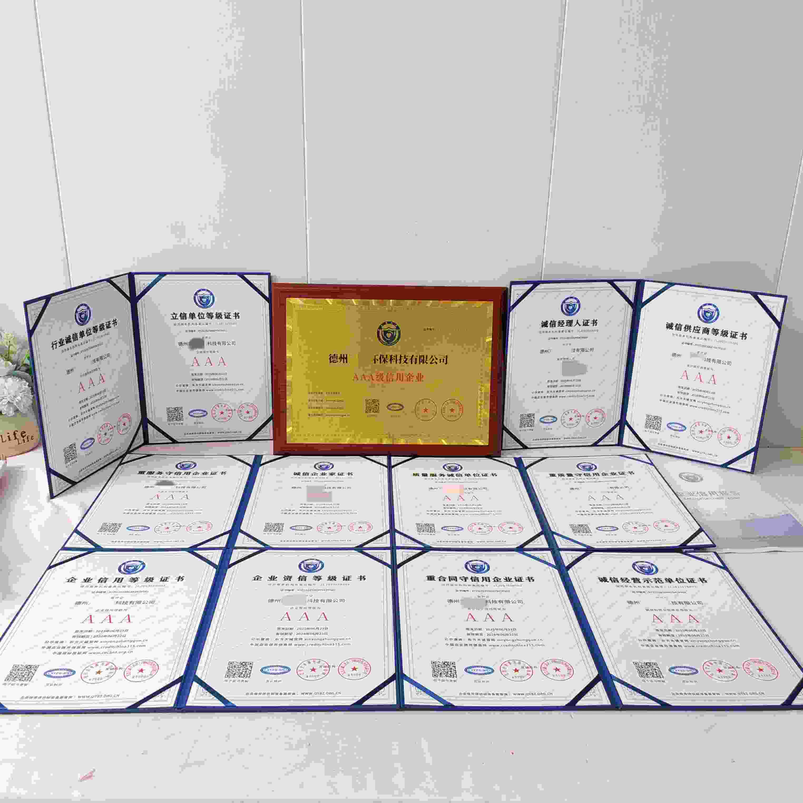 恭喜德州万达环保科技有限公司顺利通过AAA信用认证, 德州万达环保科技有限公司办理AAA信用等级证书