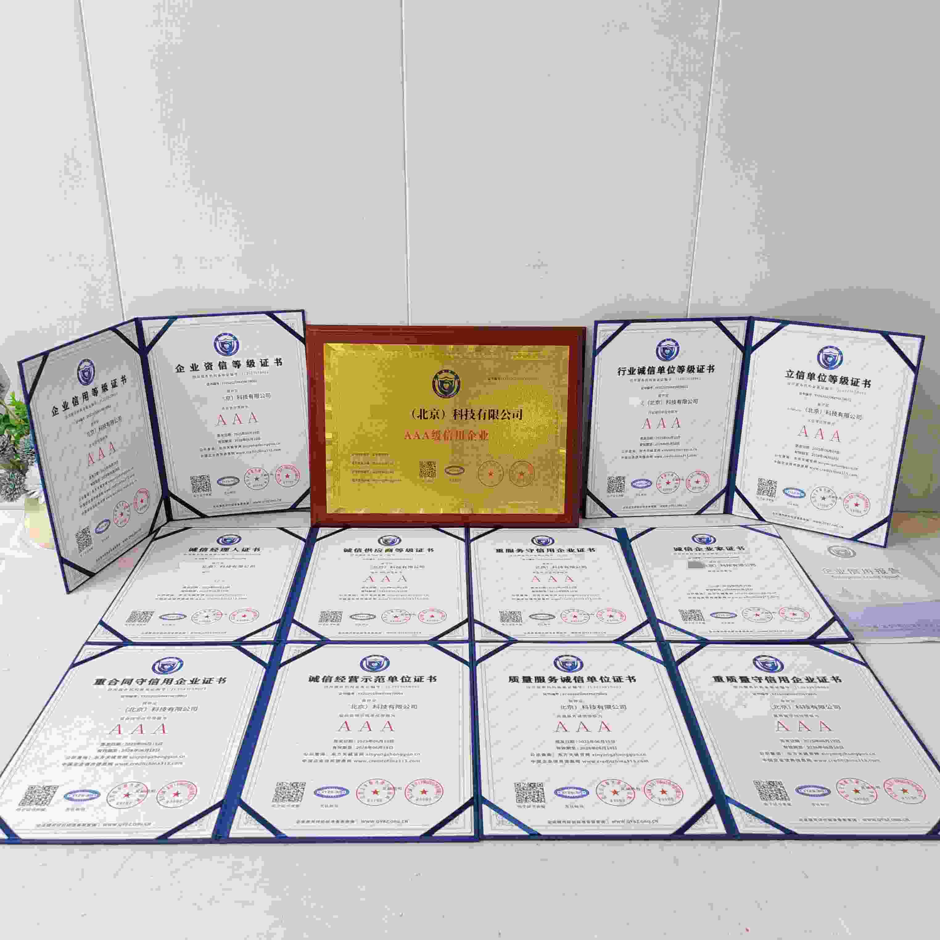 恭喜万思义(北京)科技有限公司顺利通过AAA信用认证, 万思义(北京)科技有限公司办理AAA信用等级证书