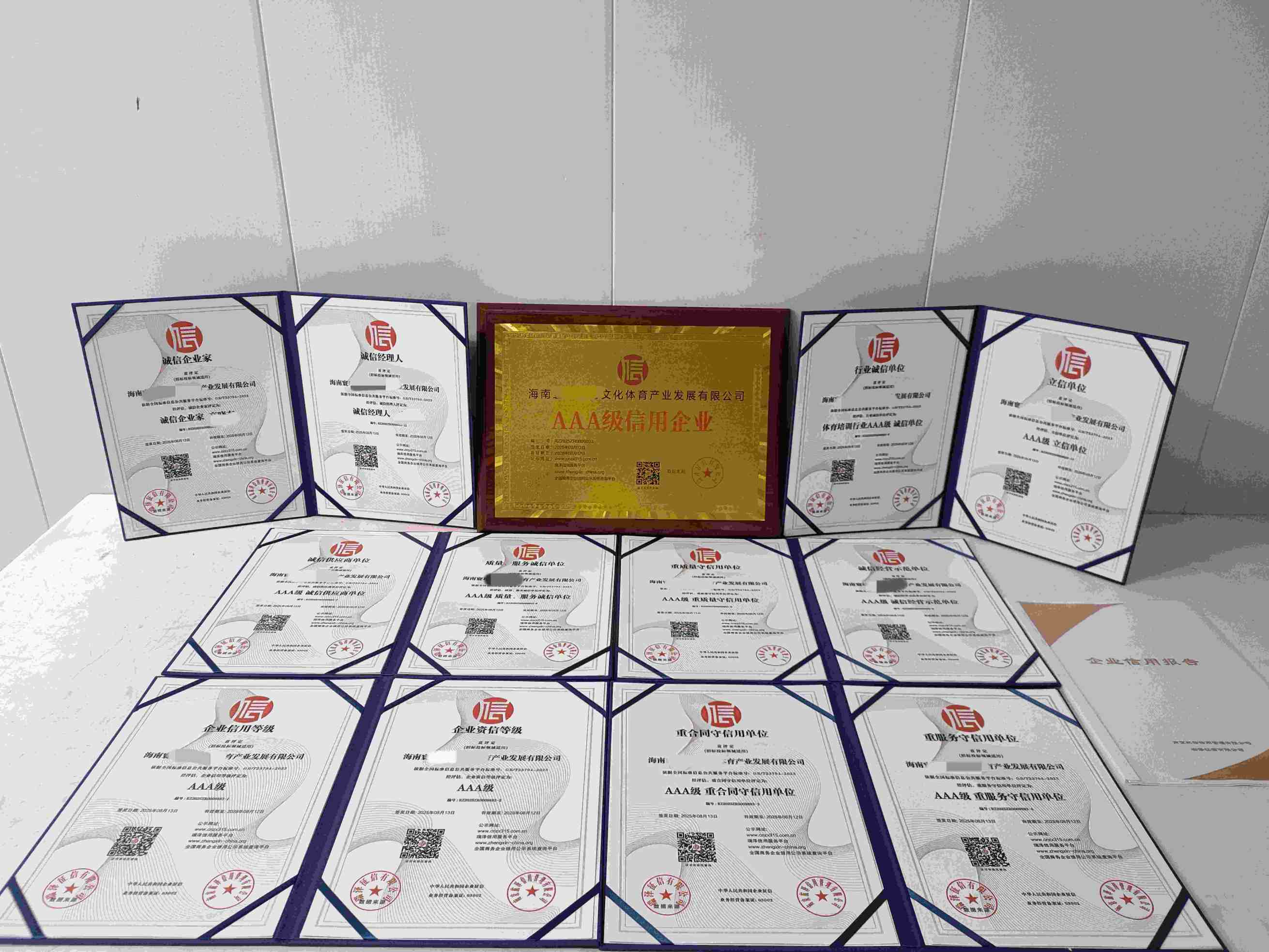 恭喜海南寰球拓海文化体育产业发展有限公司顺利通过AAA信用认证, 海南寰球拓海文化体育产业发展有限公司办理AAA信用等级证书
