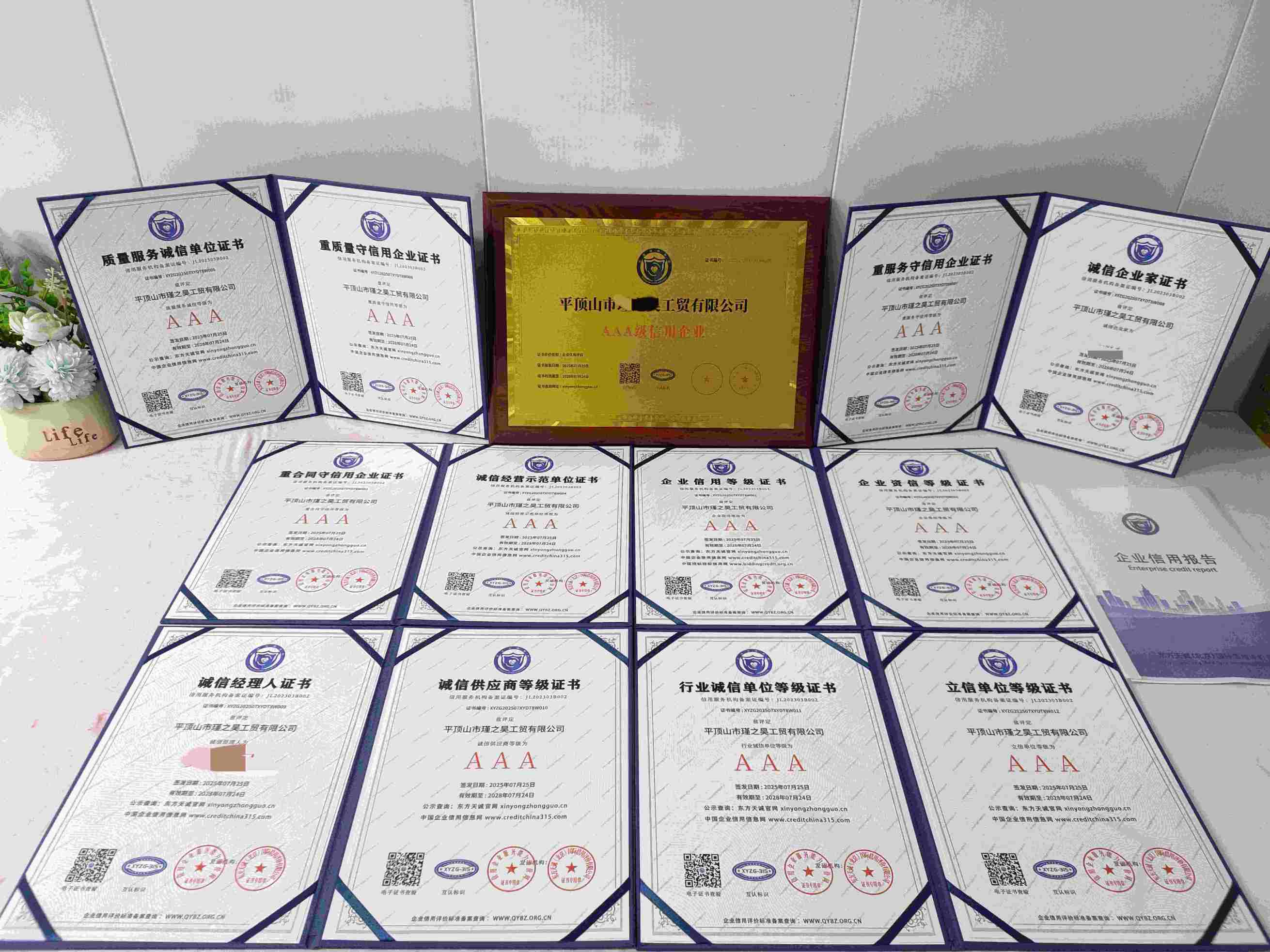 恭喜平顶山市瑾之昊工贸有限公司顺利通过AAA信用认证, 平顶山市瑾之昊工贸有限公司办理AAA信用等级证书