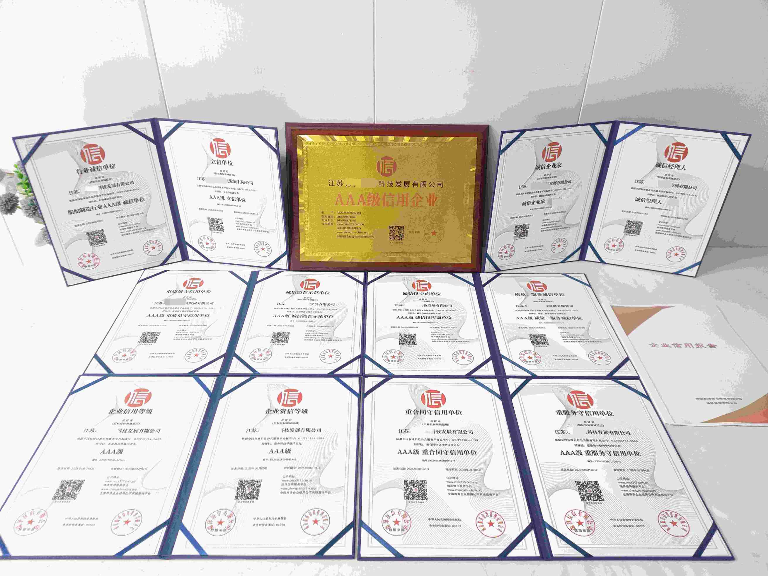 恭喜江苏万邦船舶科技发展有限公司顺利通过AAA信用认证, 江苏万邦船舶科技发展有限公司办理AAA信用等级证书