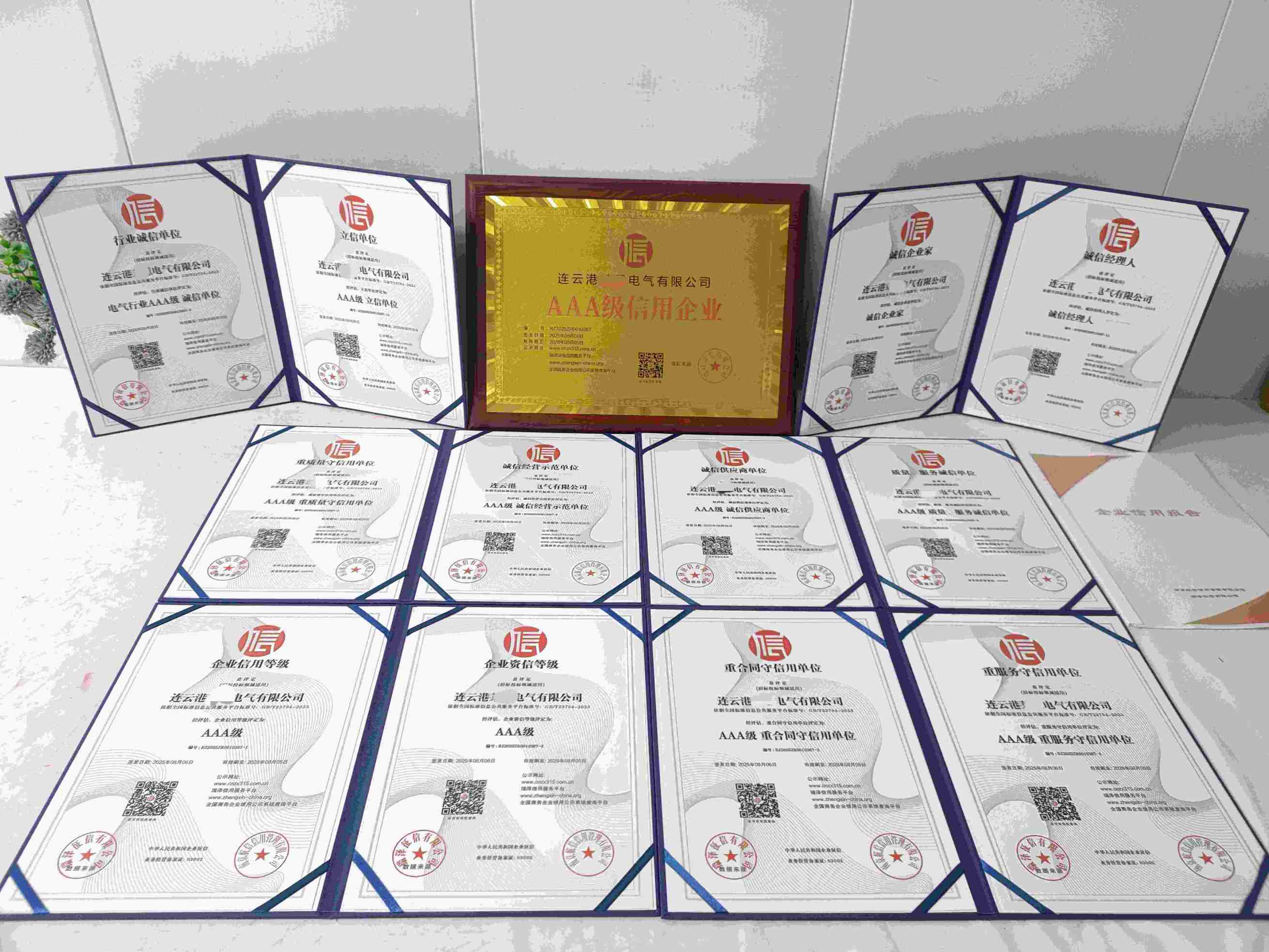 恭喜连云港莱恩电气有限公司顺利通过AAA信用认证, 连云港莱恩电气有限公司办理AAA信用等级证书
