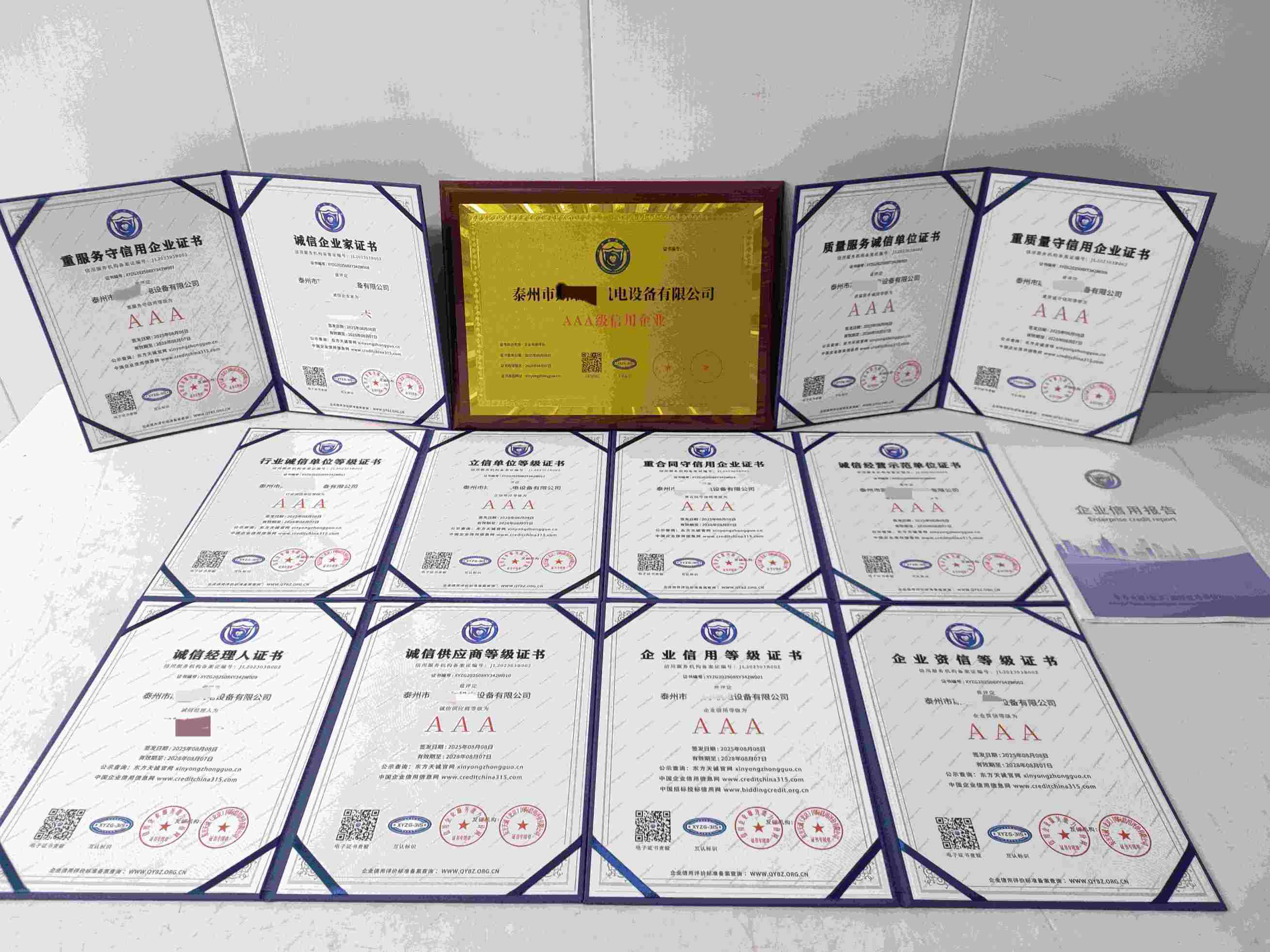 恭喜泰州市斯瑞尔机电设备有限公司顺利通过AAA信用认证, 泰州市斯瑞尔机电设备有限公司办理AAA信用等级证书