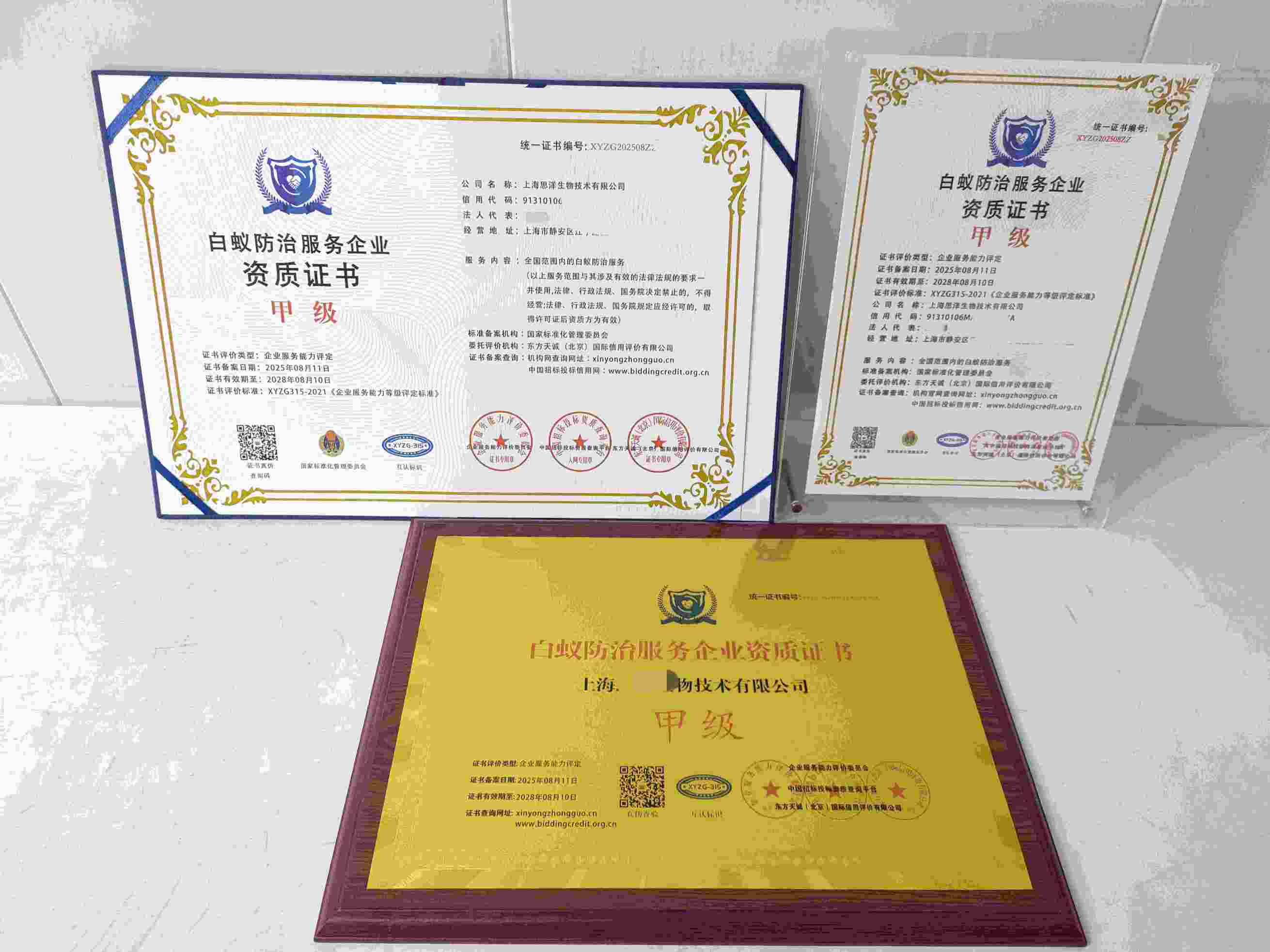 恭喜上海思洋生物技术有限公司顺利通过白蚁防治服务企业资质认证,上海思洋生物技术有限公司办理白蚁防治服务企业资质证书