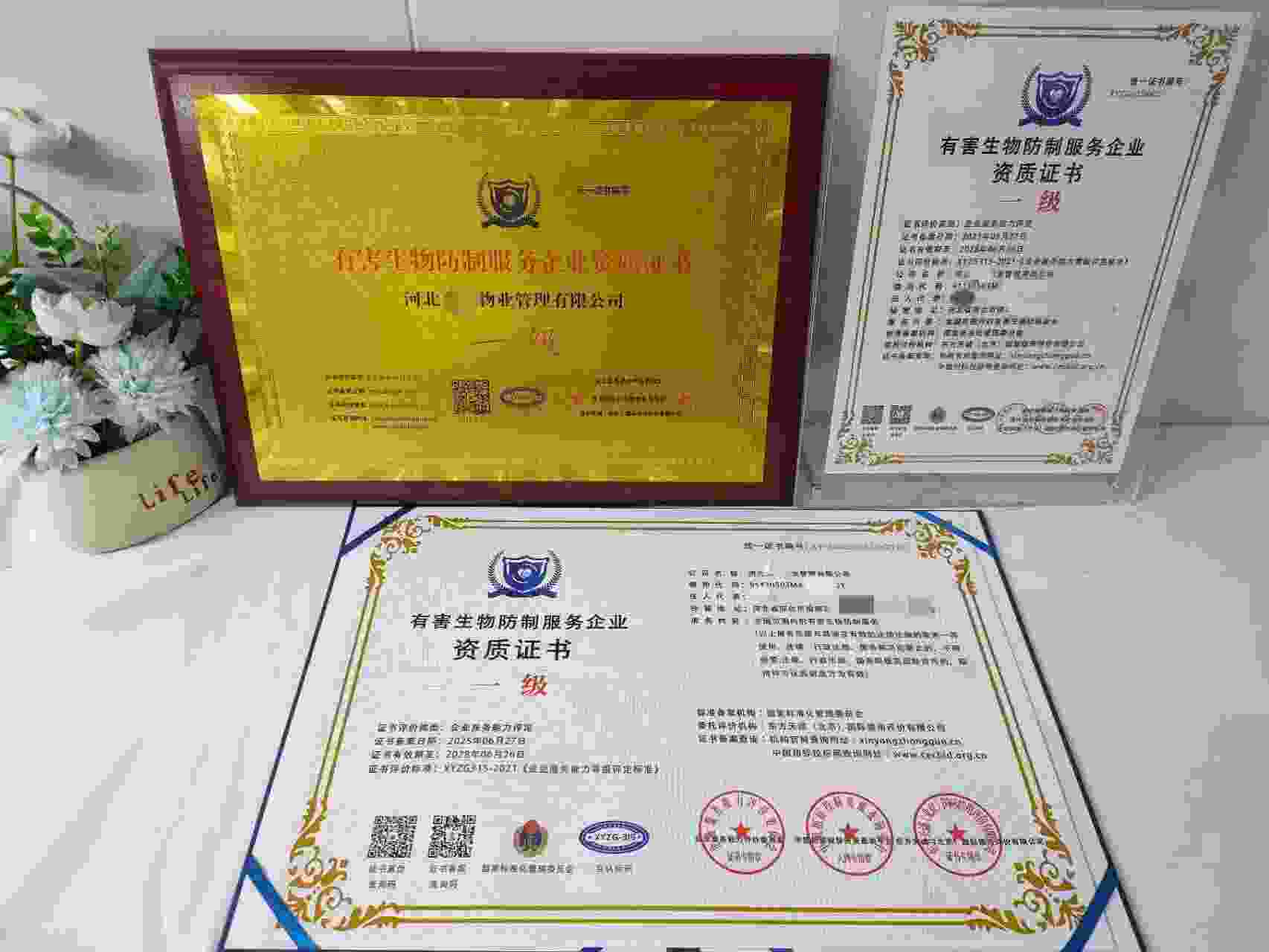 恭喜河北金恒有害生物防制有限公司顺利通过有害生物防制服务企业资质认证,河北金恒有害生物防制有限公司办理有害生物防制服务企业资质证书
