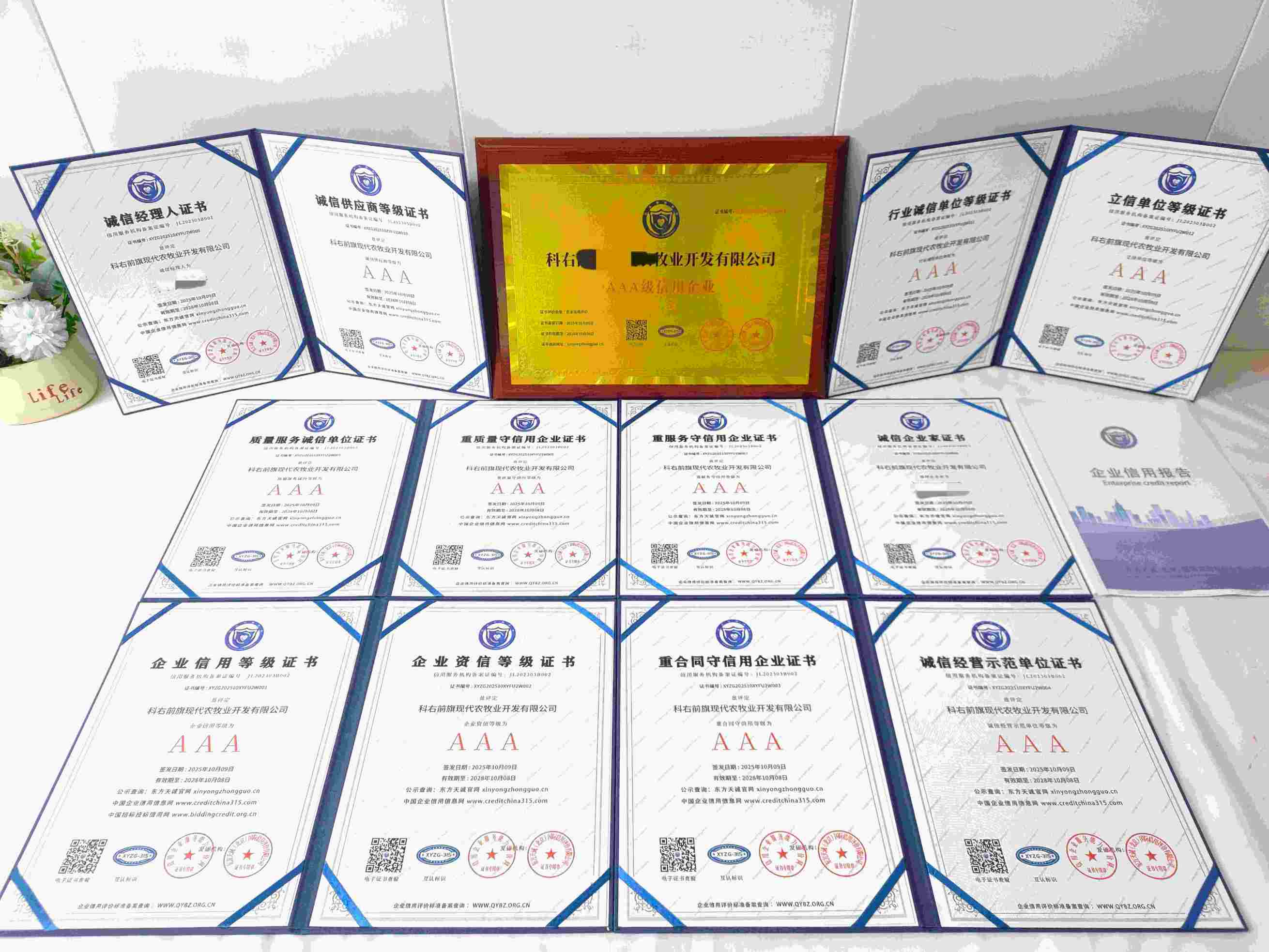 恭喜科右前旗现代农牧业开发有限公司顺利通过AAA信用认证, 科右前旗现代农牧业开发有限公司办理AAA信用等级证书