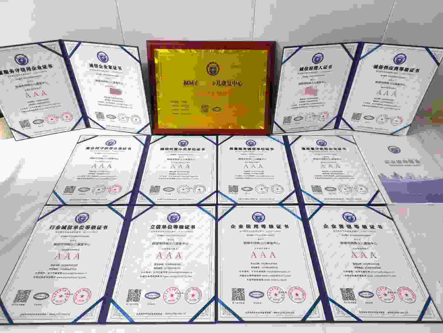恭喜桐城市特殊少儿康复中心顺利通过AAA信用认证, 桐城市特殊少儿康复中心办理AAA信用等级证书