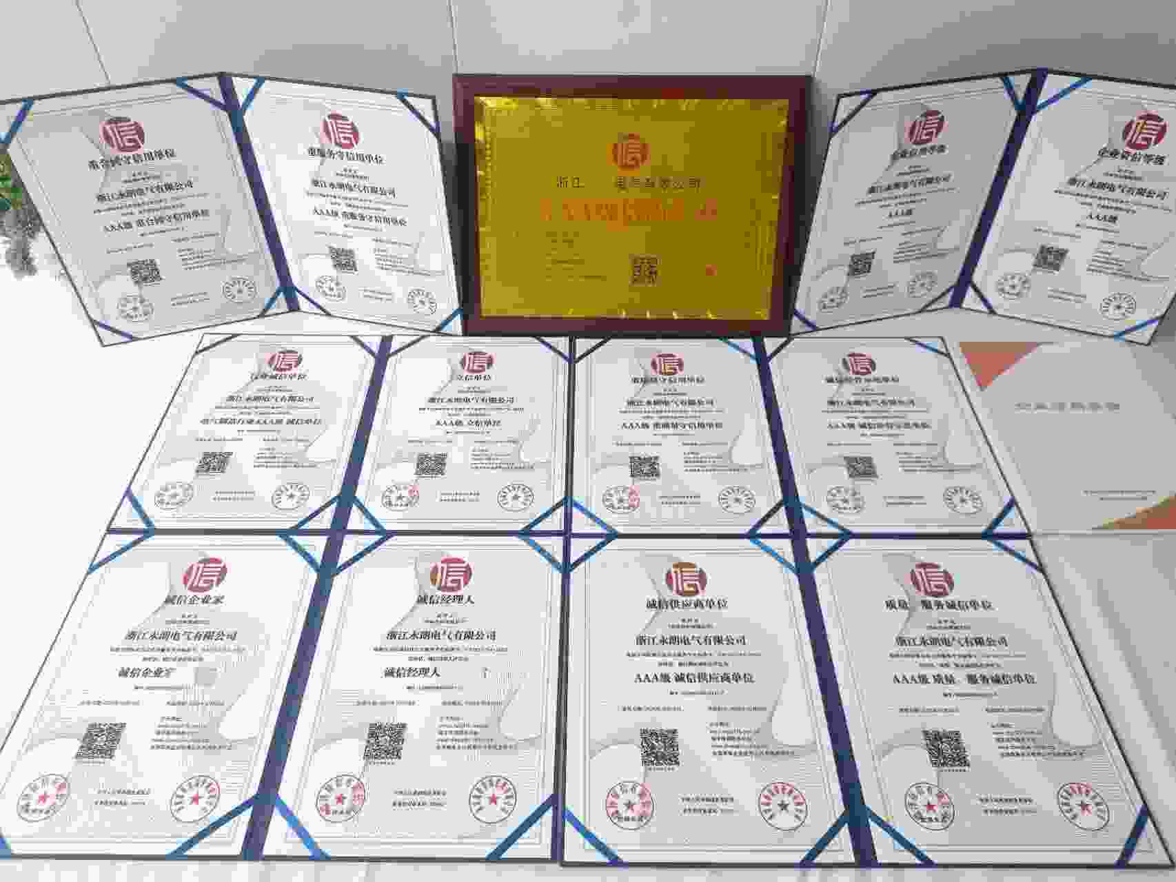 恭喜浙江永朗电气有限公司顺利通过AAA信用认证, 浙江永朗电气有限公司办理AAA信用等级证书