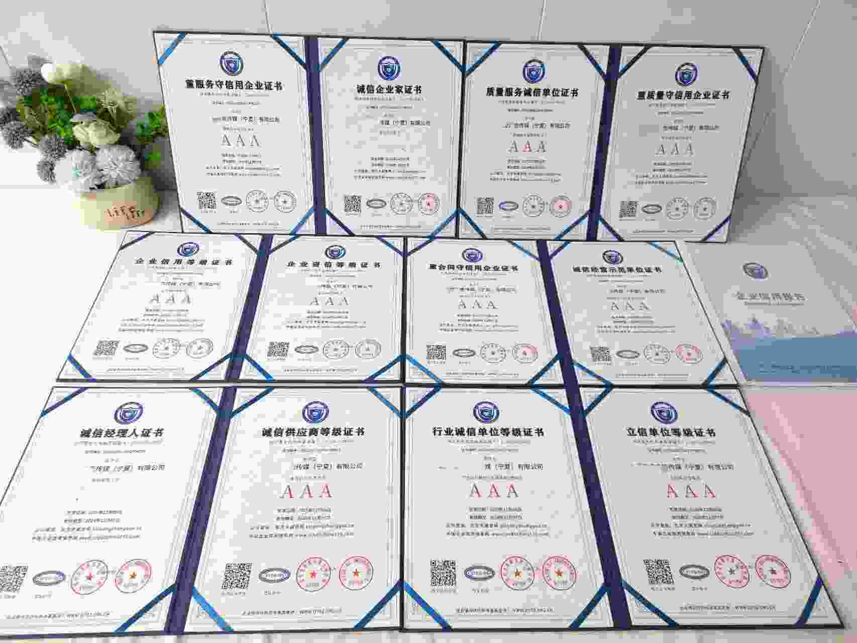 恭喜北辰星空广告传媒(宁夏)有限公司顺利通过AAA信用认证, 北辰星空广告传媒(宁夏)有限公司办理AAA信用等级证书