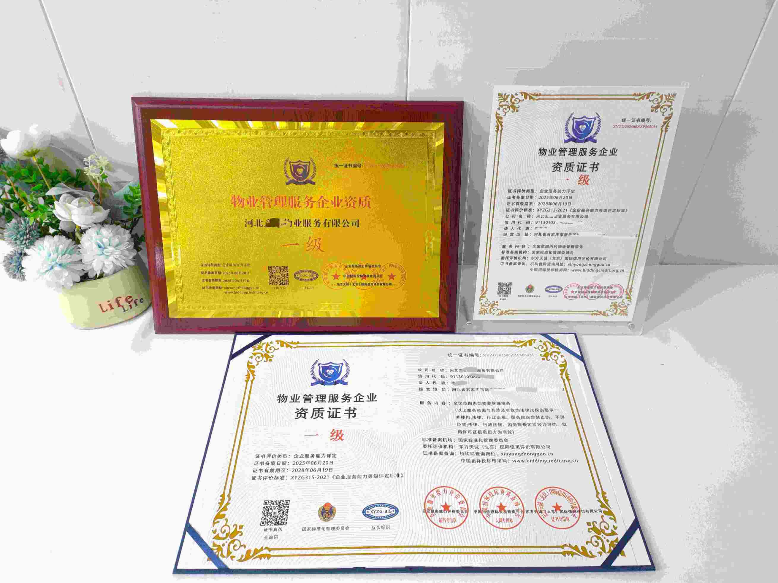 恭喜河北意如物业服务有限公司顺利通过物业管理服务企业资质认证,河北意如物业服务有限公司办理物业管理服务企业资质证书