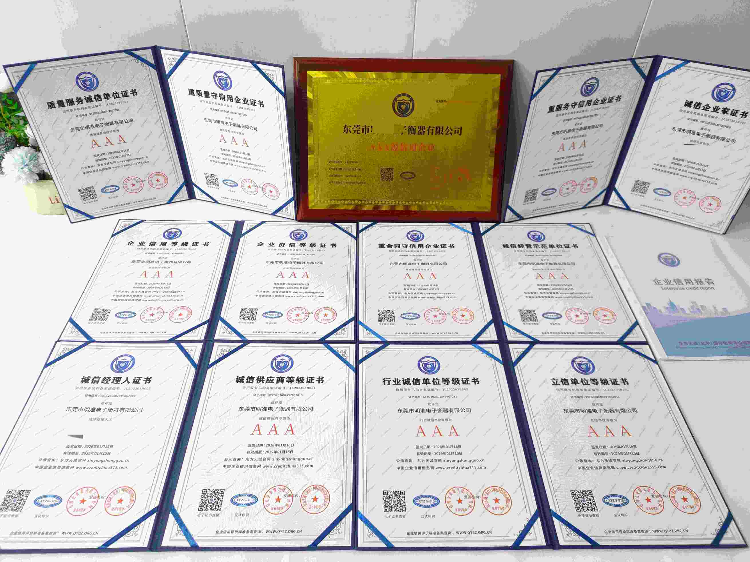 恭喜东莞市明准电子衡器有限公司顺利通过AAA信用认证, 东莞市明准电子衡器有限公司办理AAA信用等级证书
