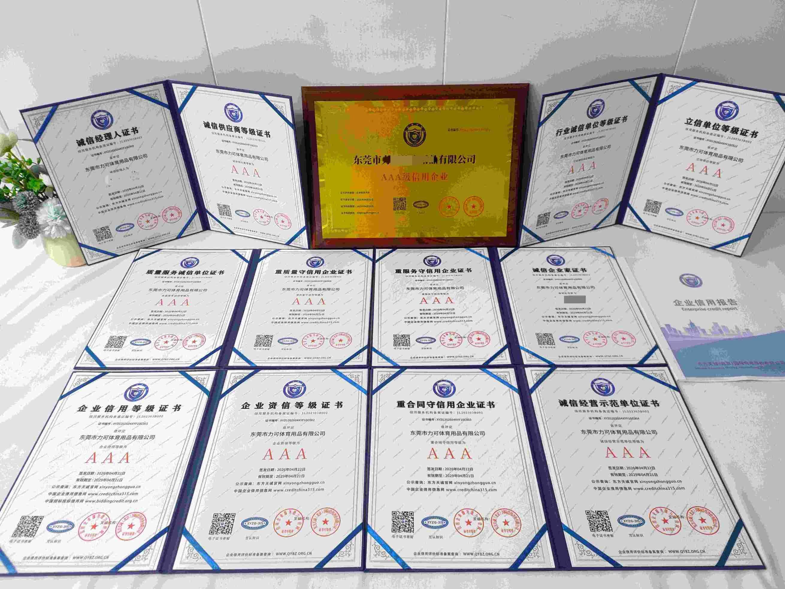 恭喜东莞市力可体育用品有限公司顺利通过AAA信用认证, 东莞市力可体育用品有限公司办理AAA信用等级证书