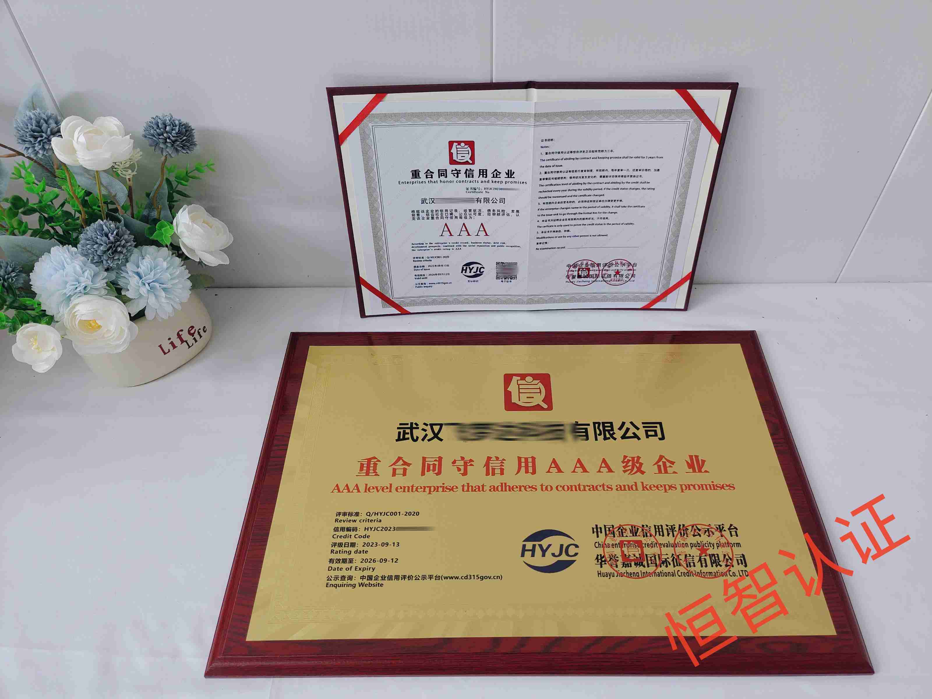 武汉飞梦达科技有限公司.jpg