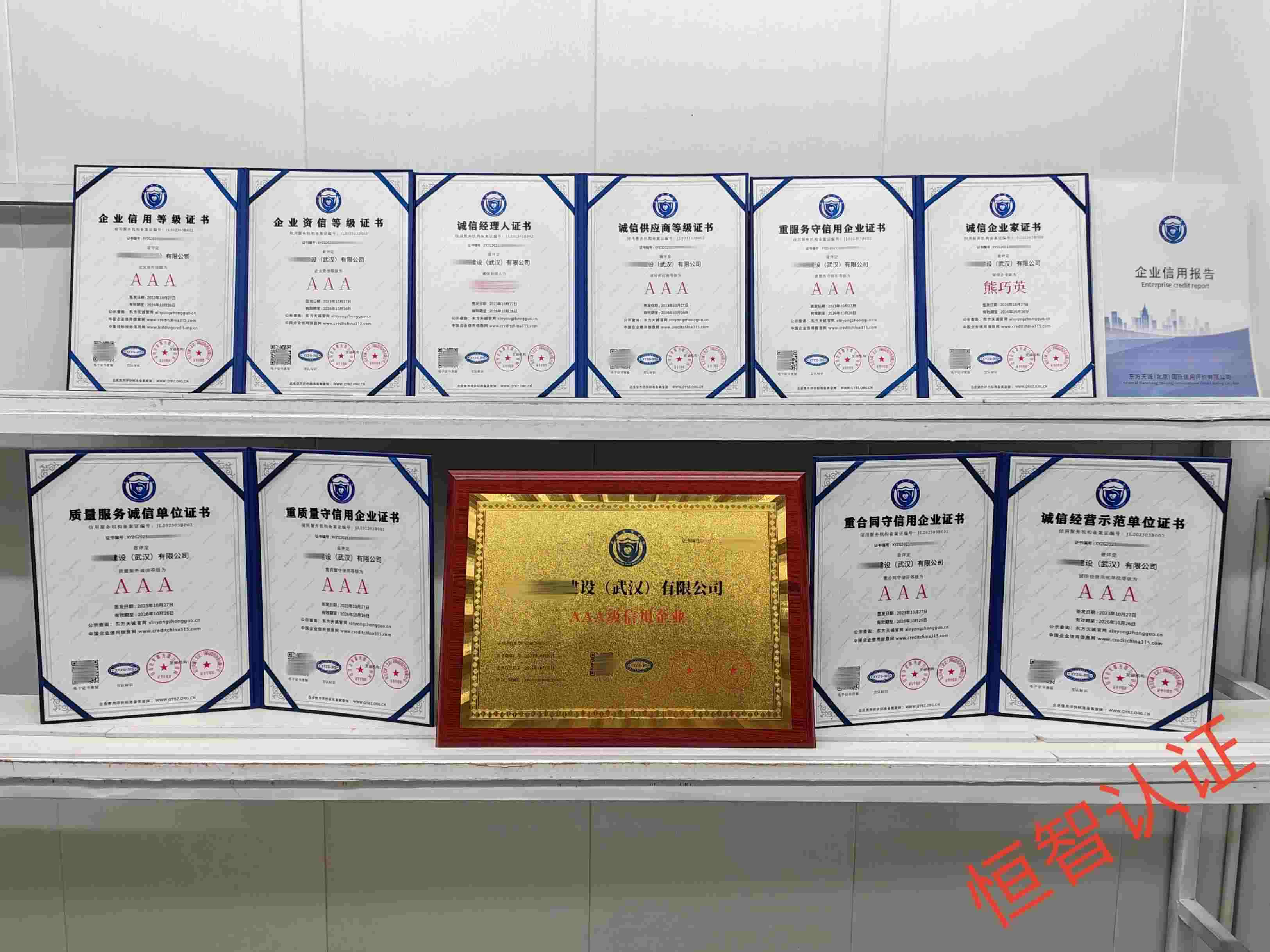 津格建设 (武汉)有限公司 (1) (1).jpg
