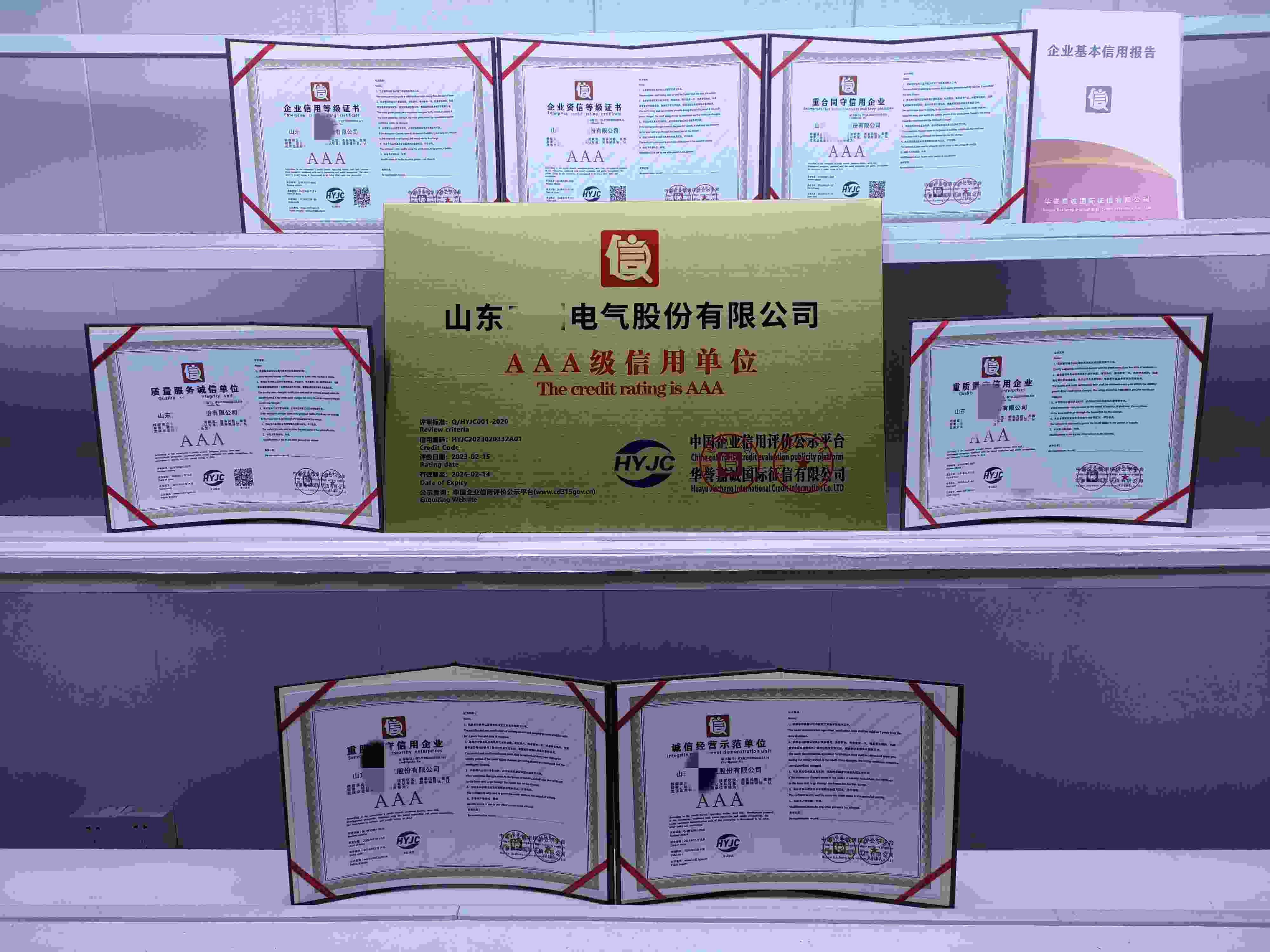 山东五洲电气股份有限公司.jpg