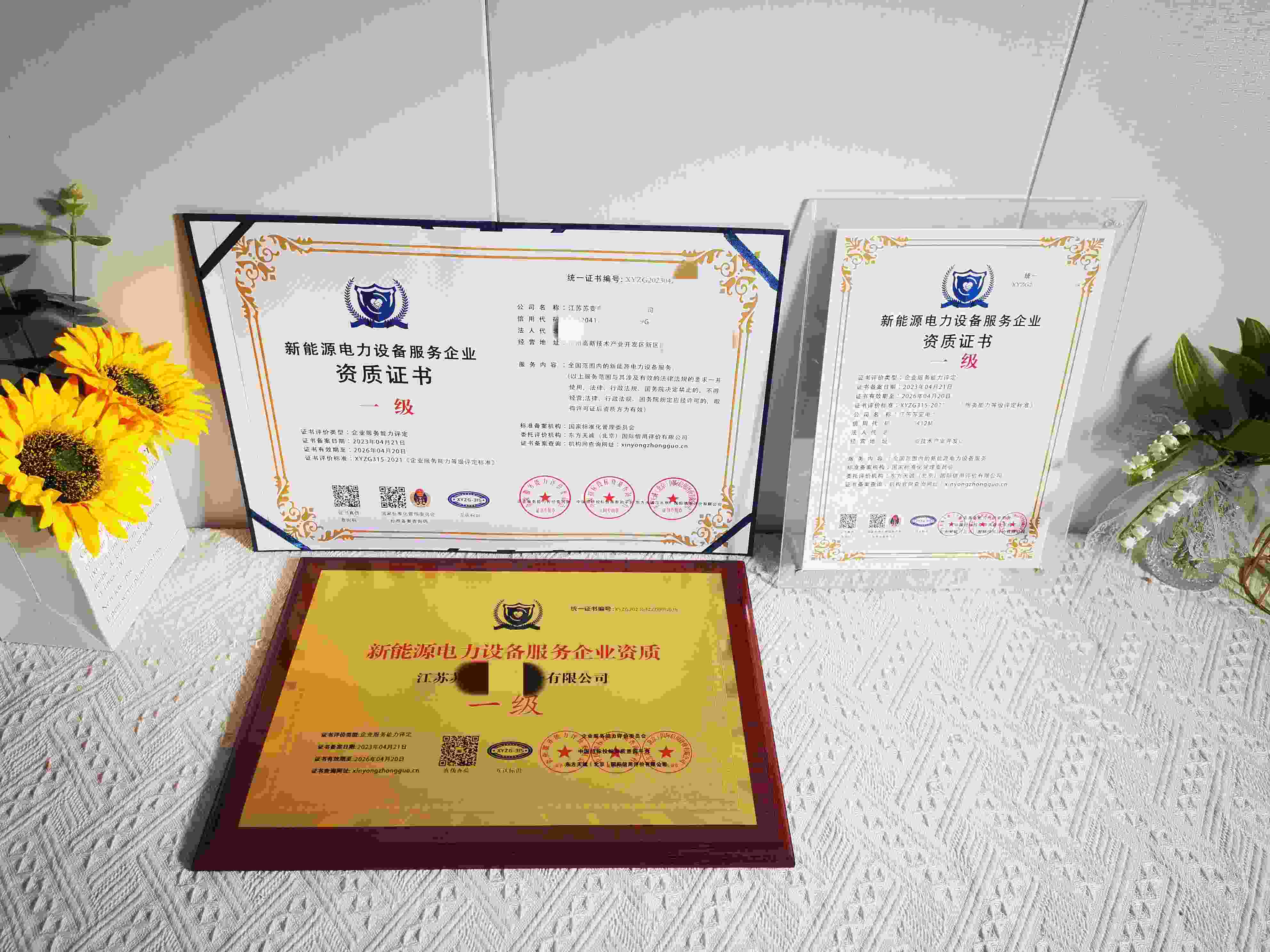 江苏苏变电力设备有限公司-新能源电力设备服务企业资质 一级.jpg