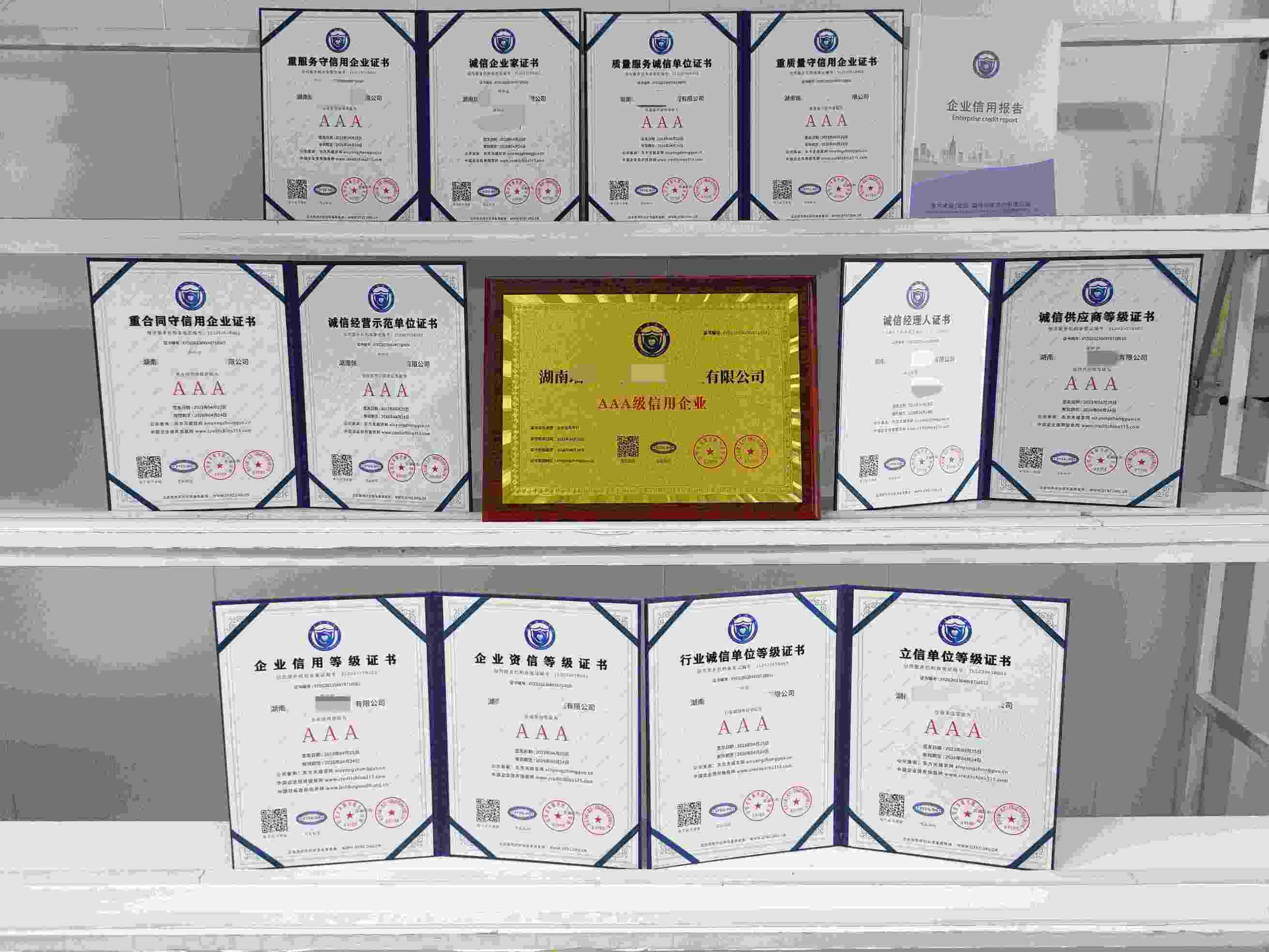 湖南瑞彩和景观亮化工程有限公司.jpg