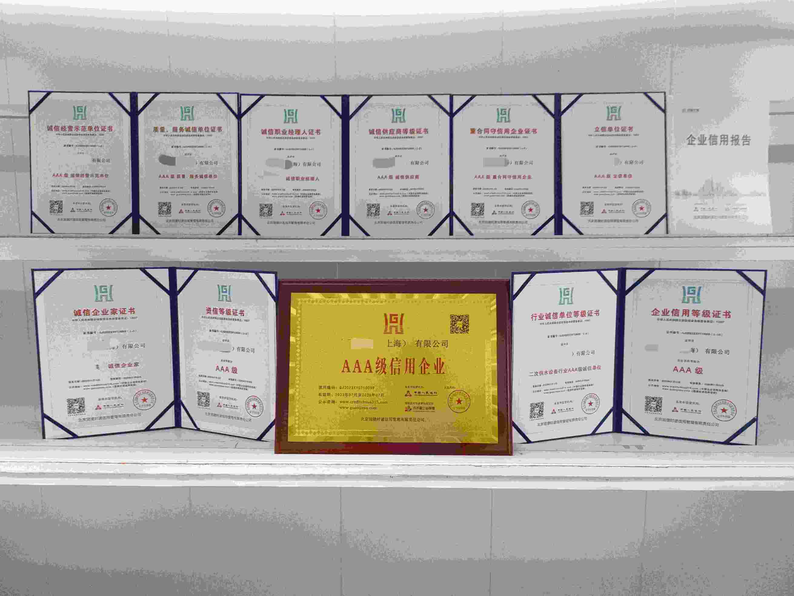 丰翼泵业（上海）有限公司.jpg