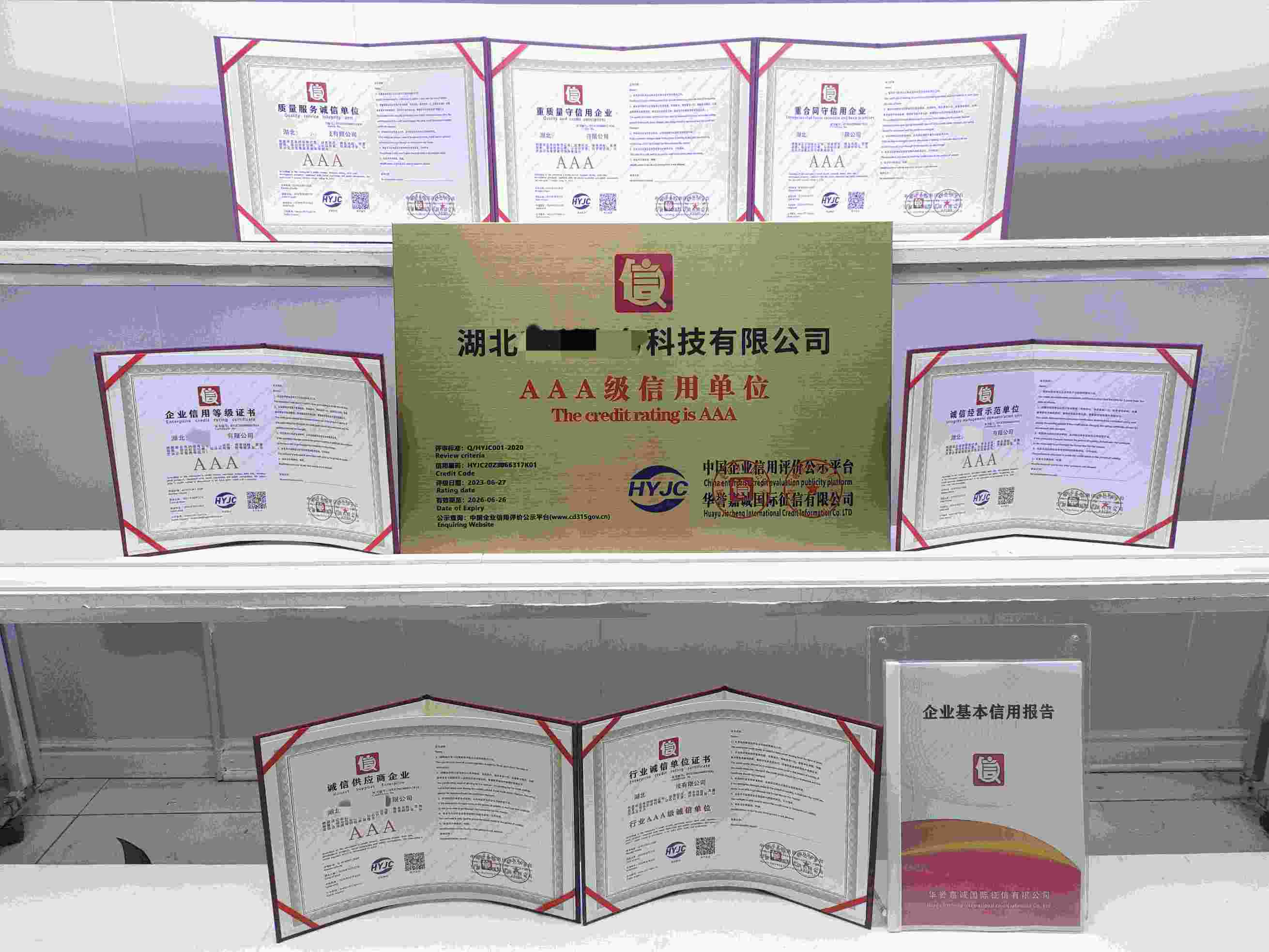 湖北兴利水务科技有限公司.jpg