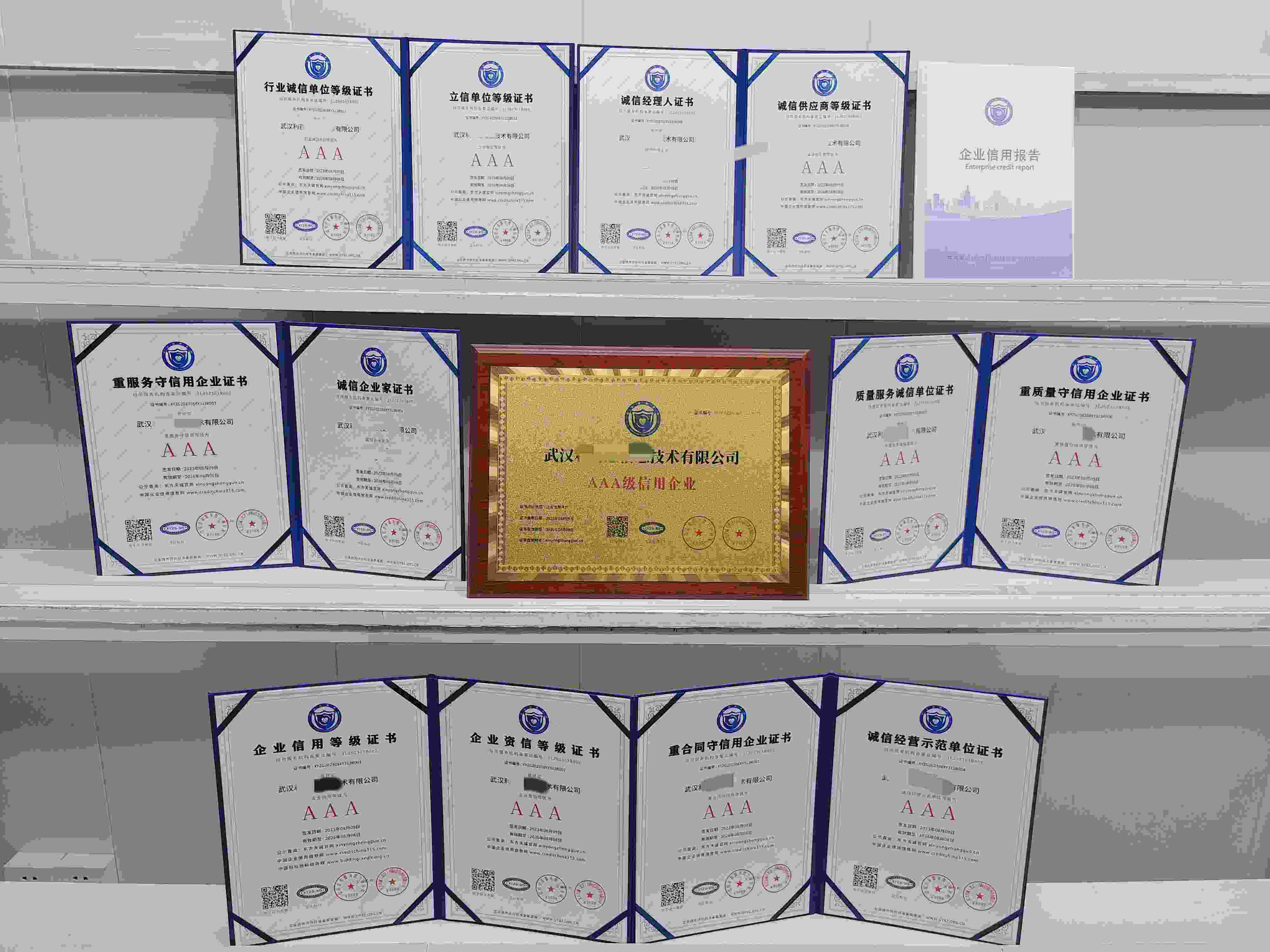 武汉利百惠信息技术有限公司.jpg