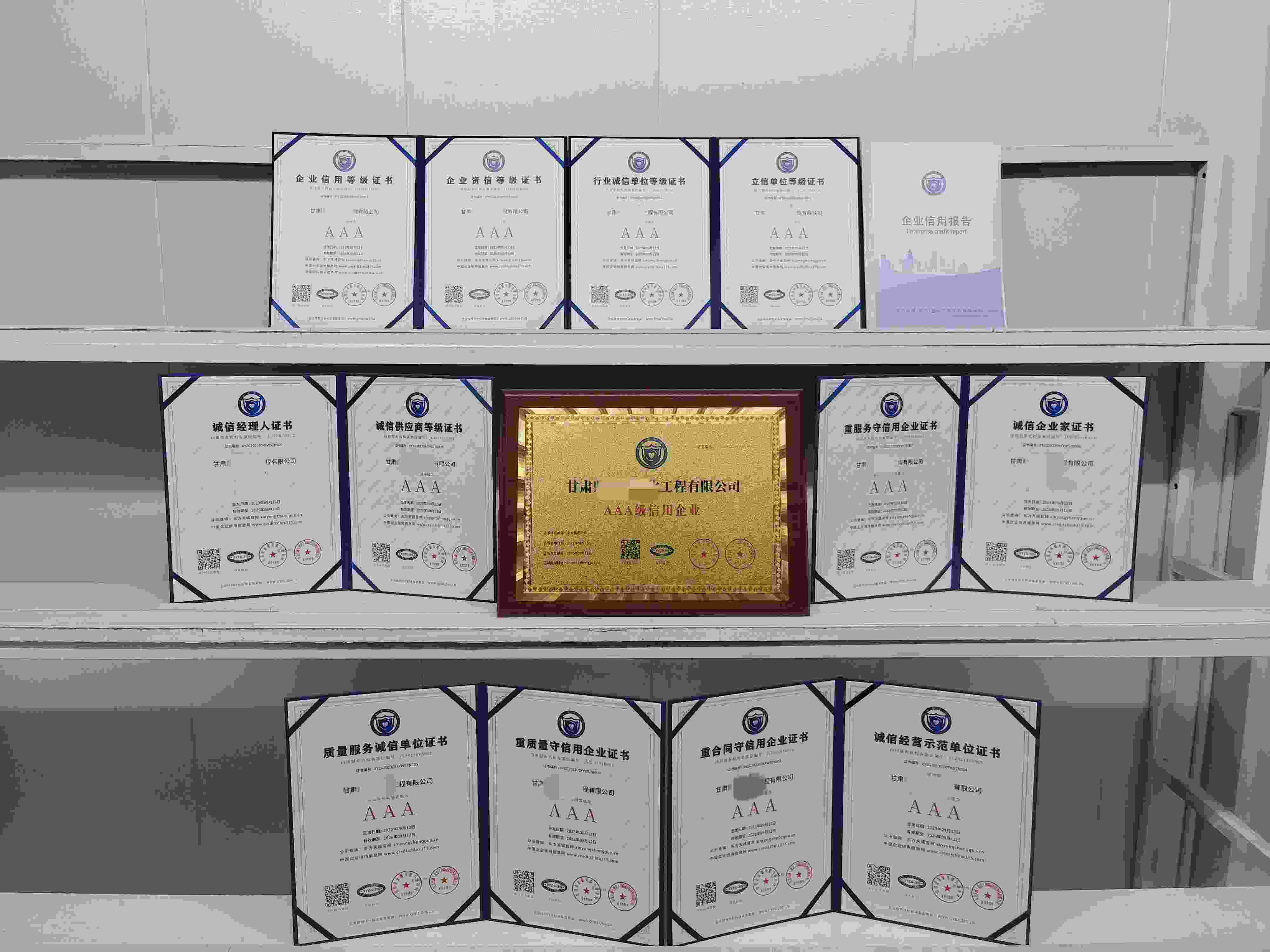 甘肃鼎盛和净化工程有限公司.jpg
