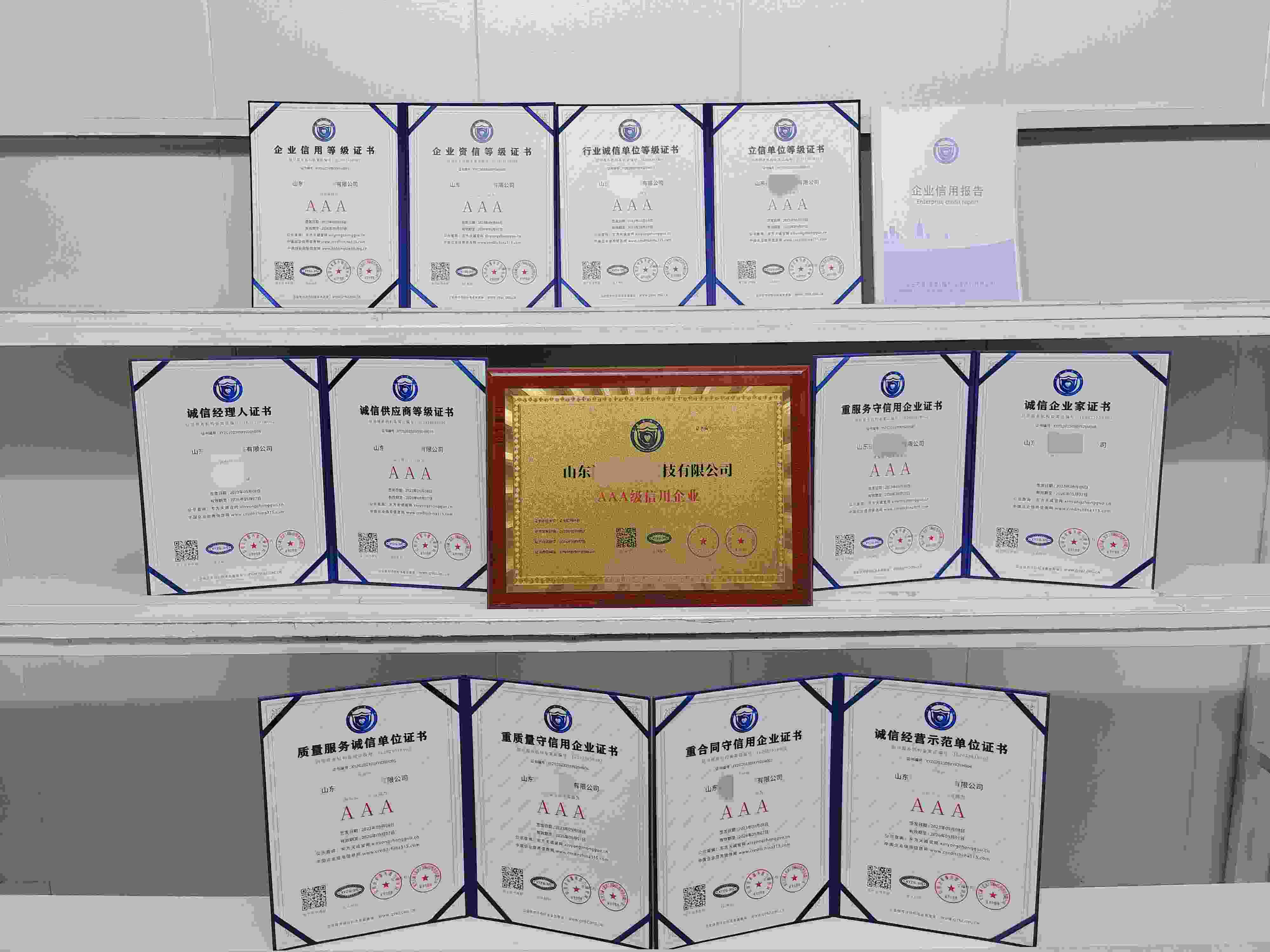 山东祺瑞电子科技有限公司.jpg