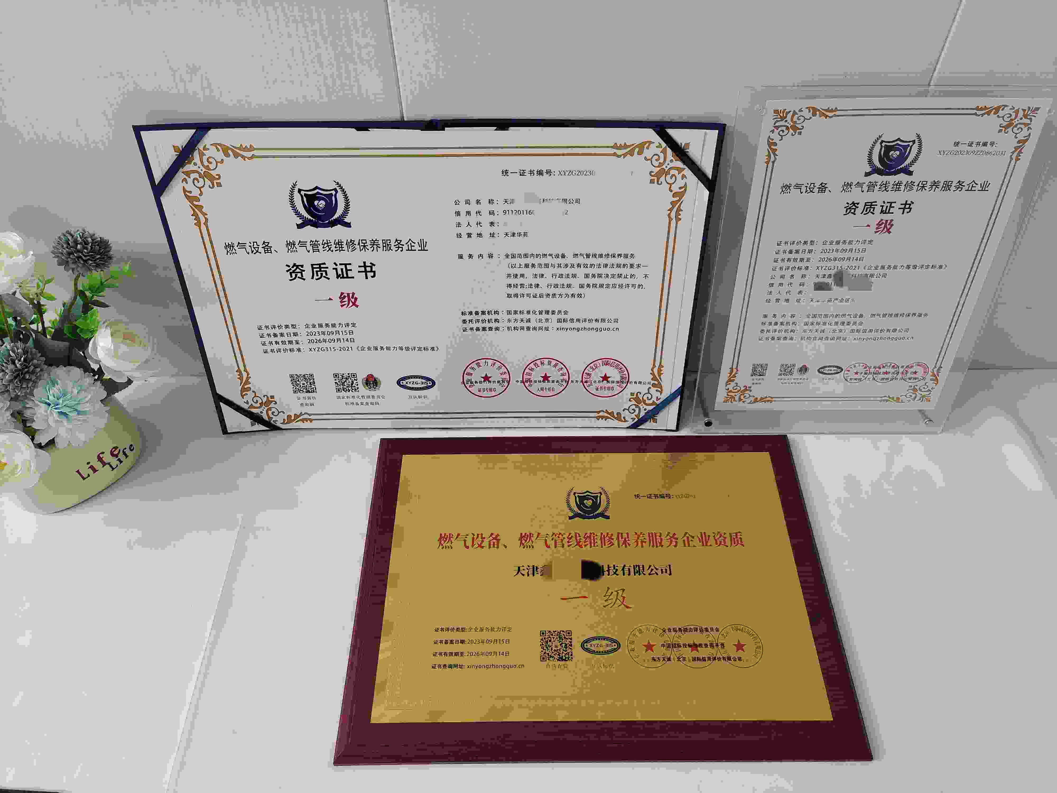 天津鑫帝尔高科技有限公司-资质.jpg